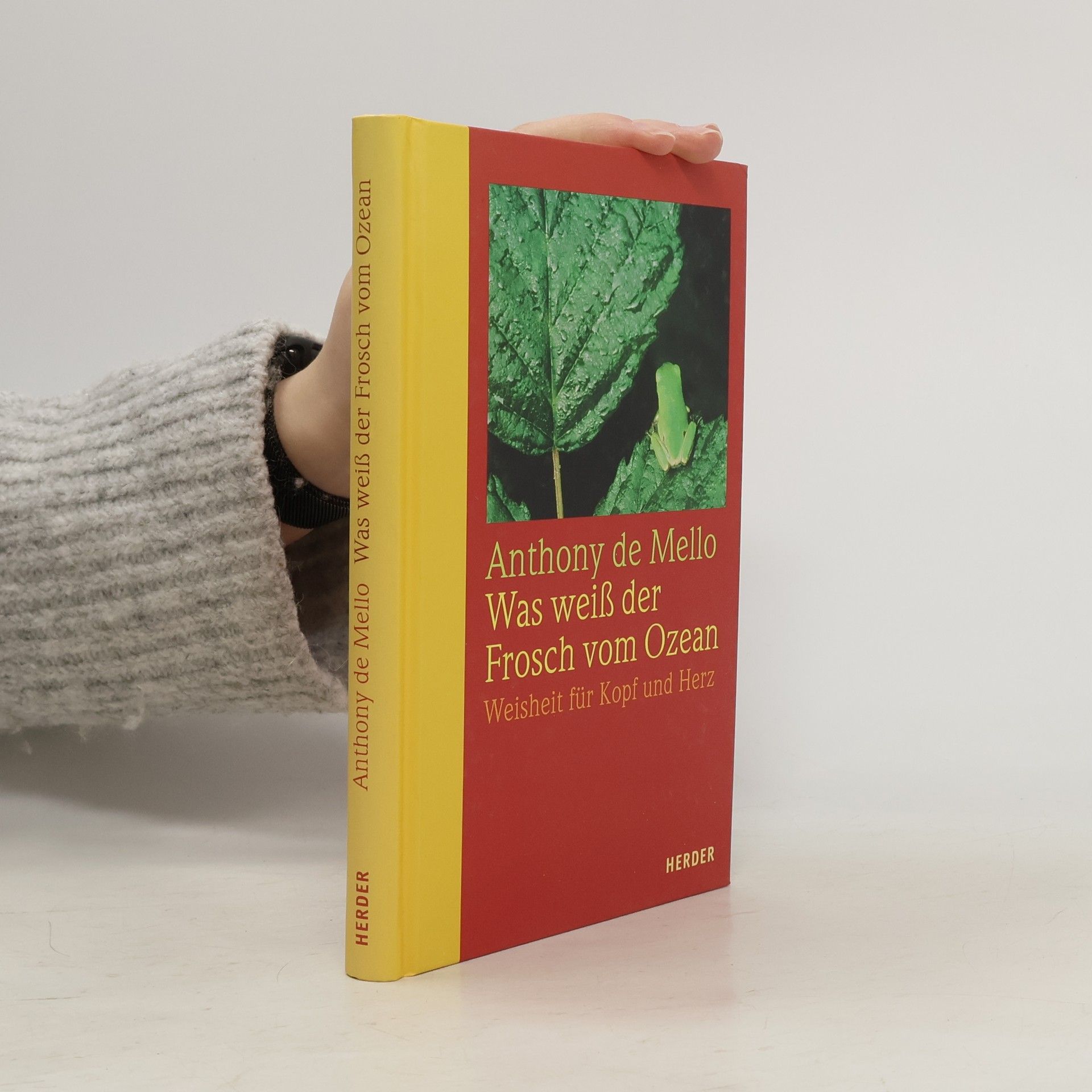 Anthony de Mello Was weiß der Frosch vom Ozean