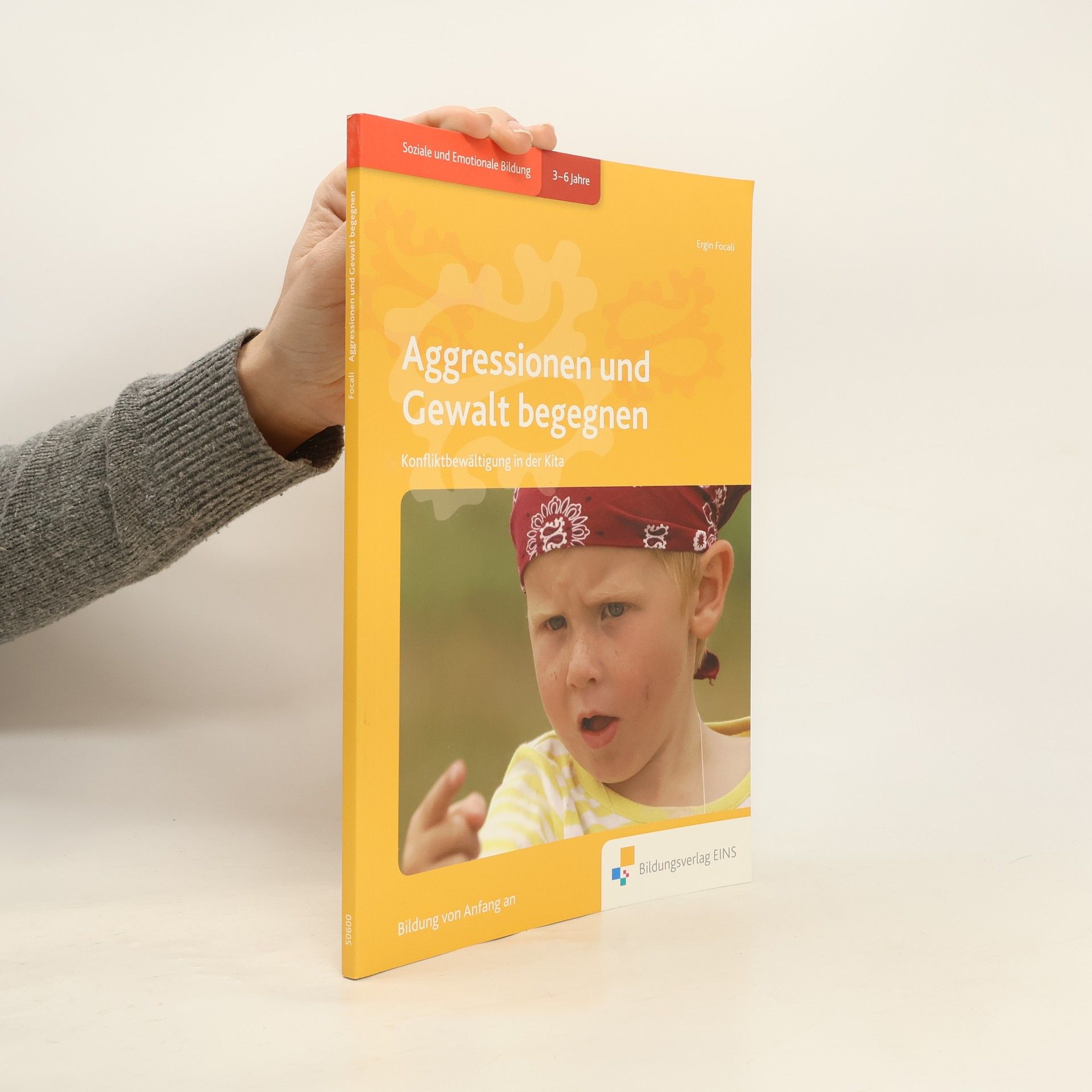 Ergin Focali Aggressionen und Gewalt begegnen