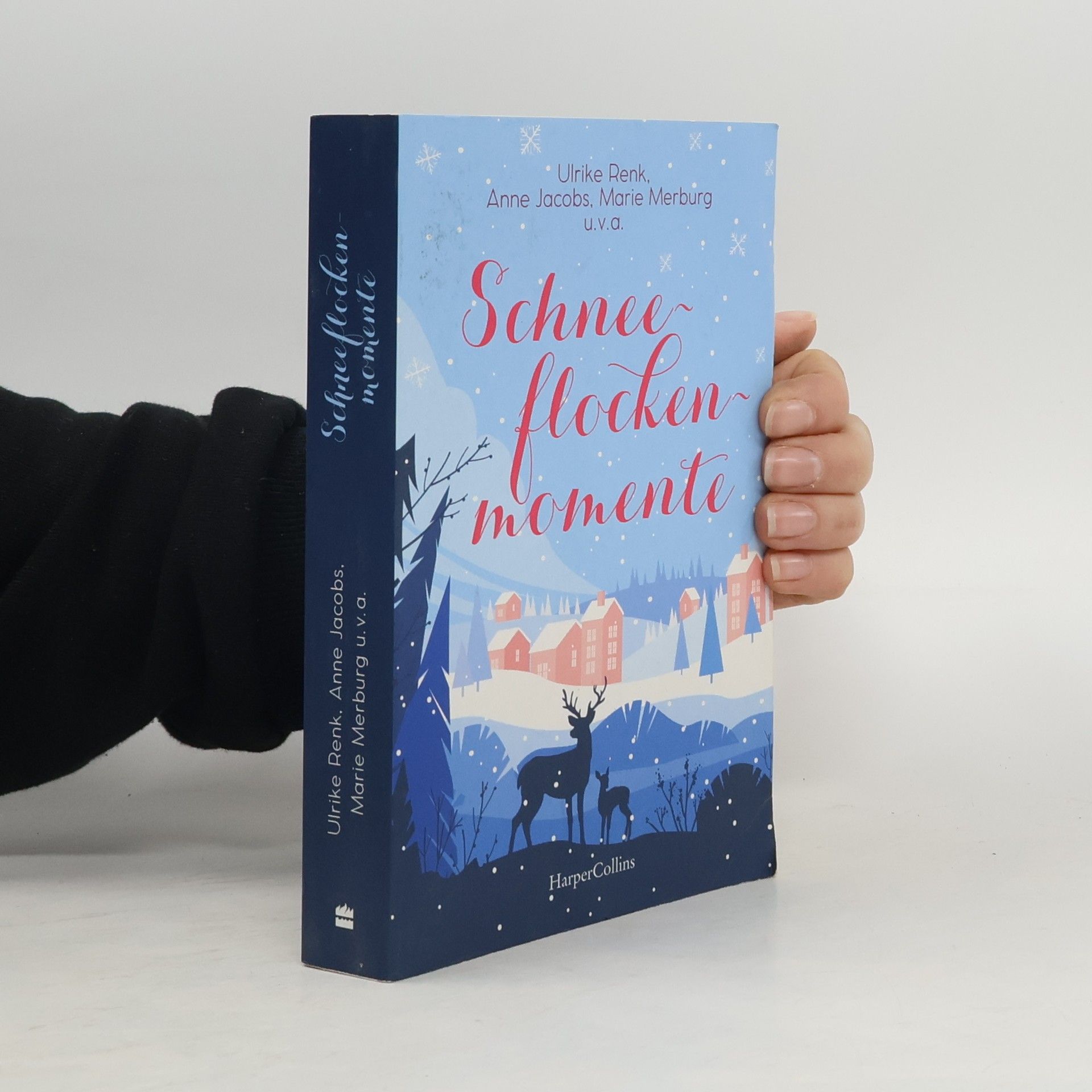 Ulrike Renk Schneeflockenmomente