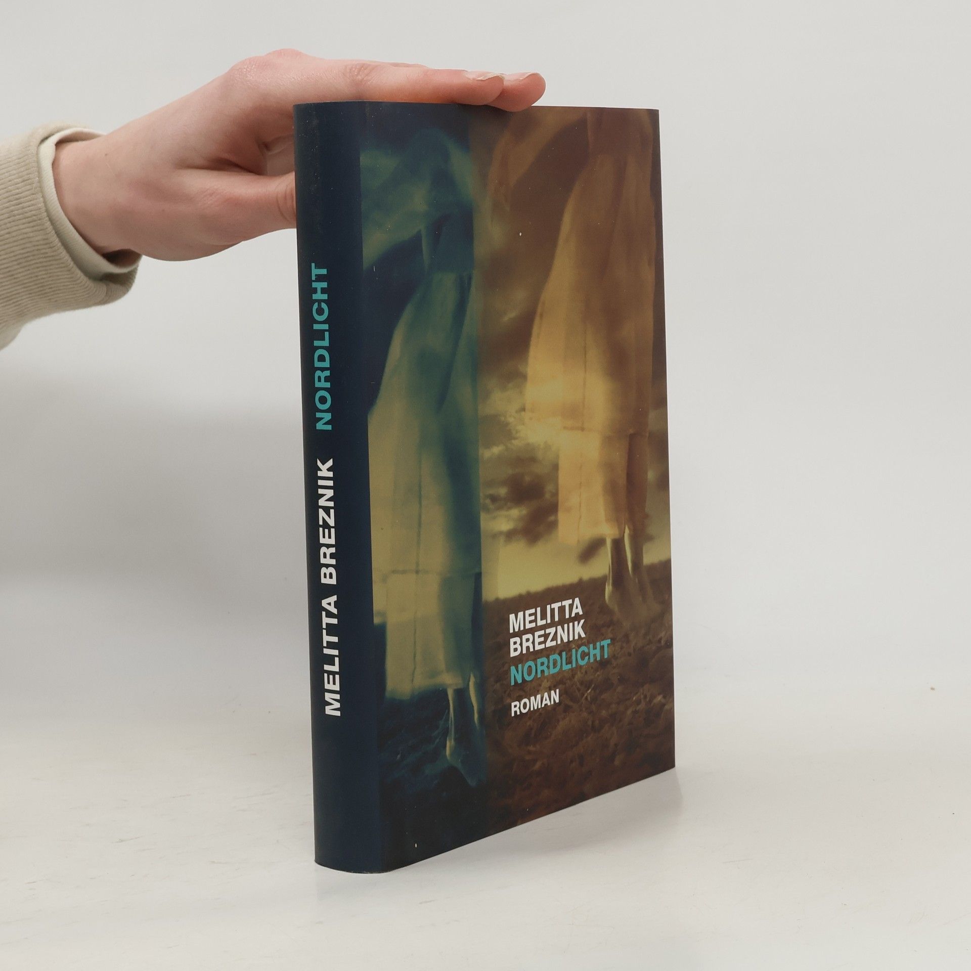 Melitta Breznik Nordlicht