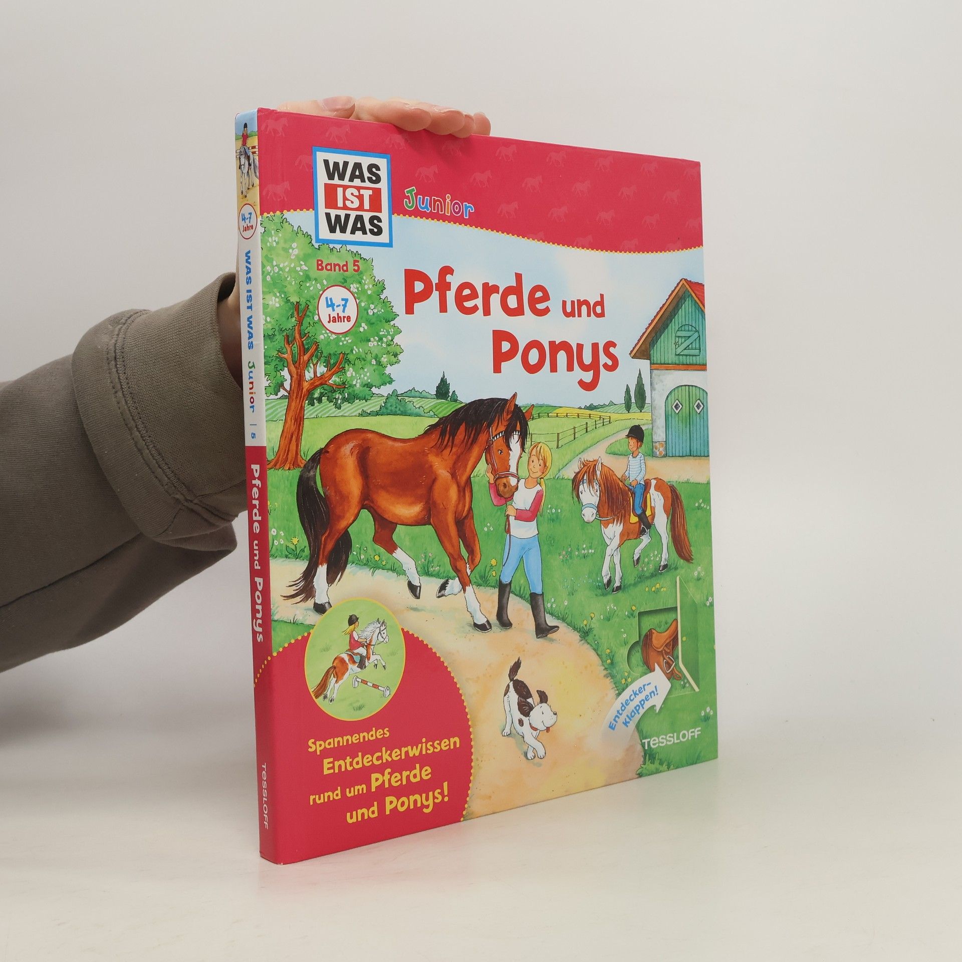 Silke Voigt Pferde und Ponys