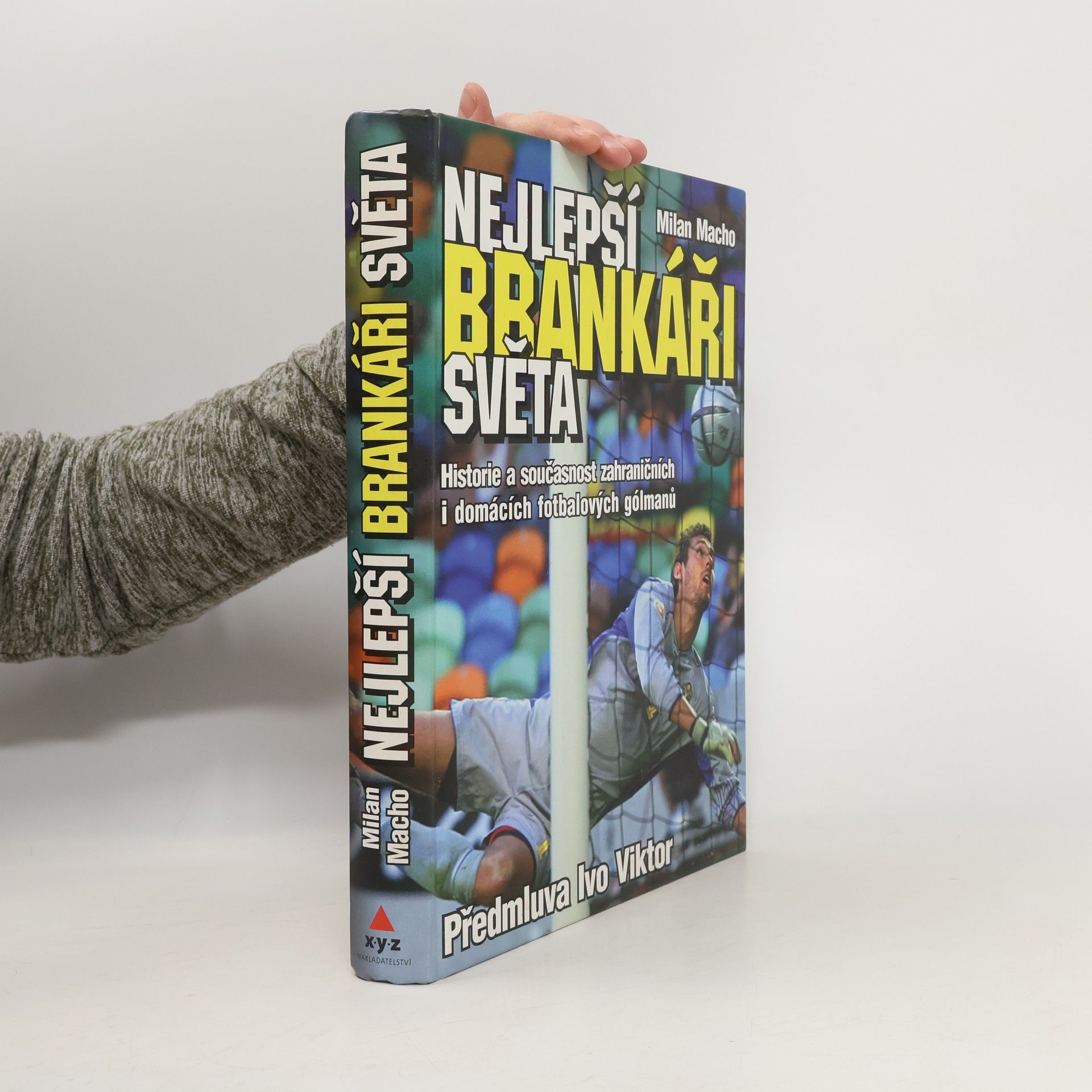 Nejlepší brankáři světa : historie a současnost zahraničních i domácích fotbalových gólmanů