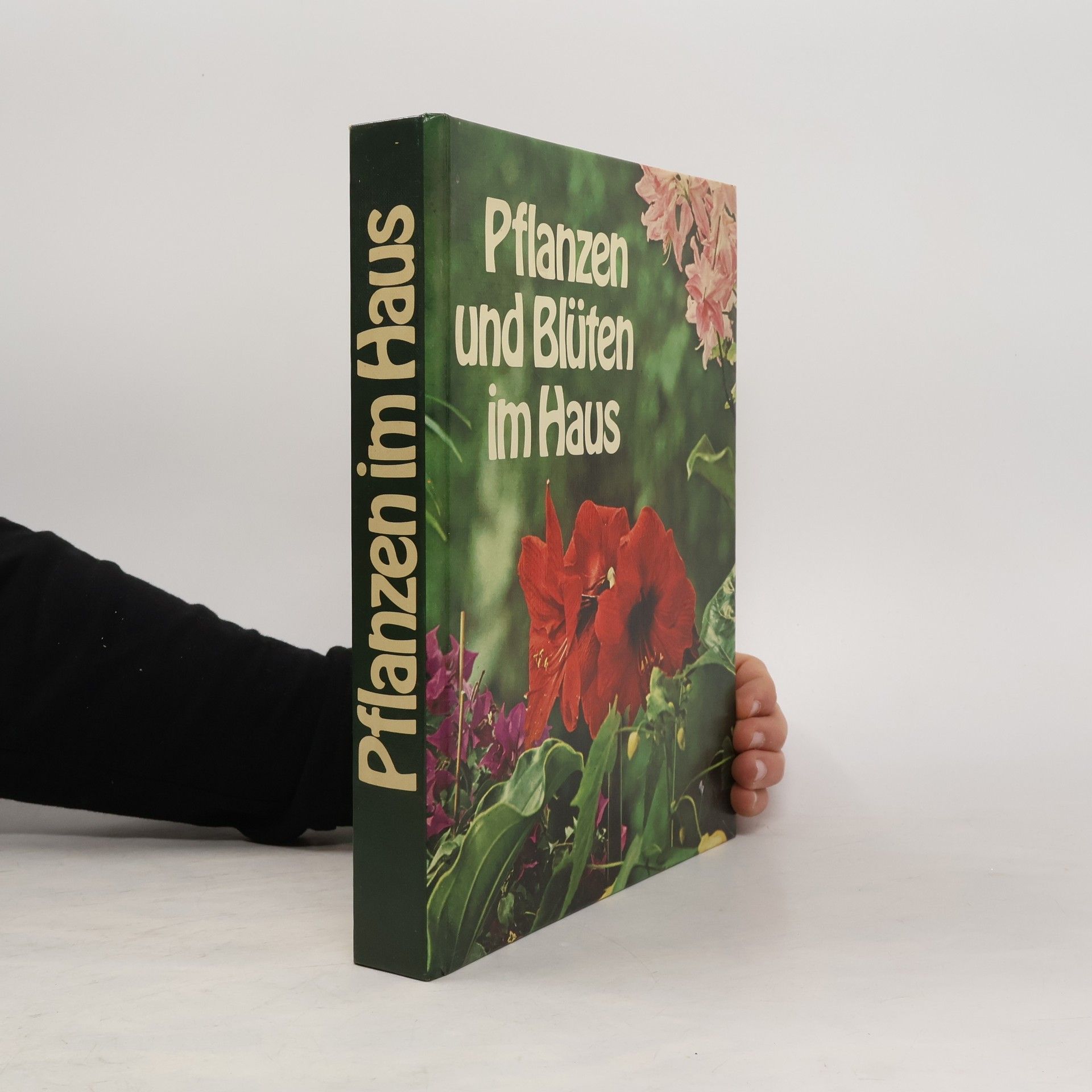 Autorenkollektiv Pflanzen und Blüten im Haus