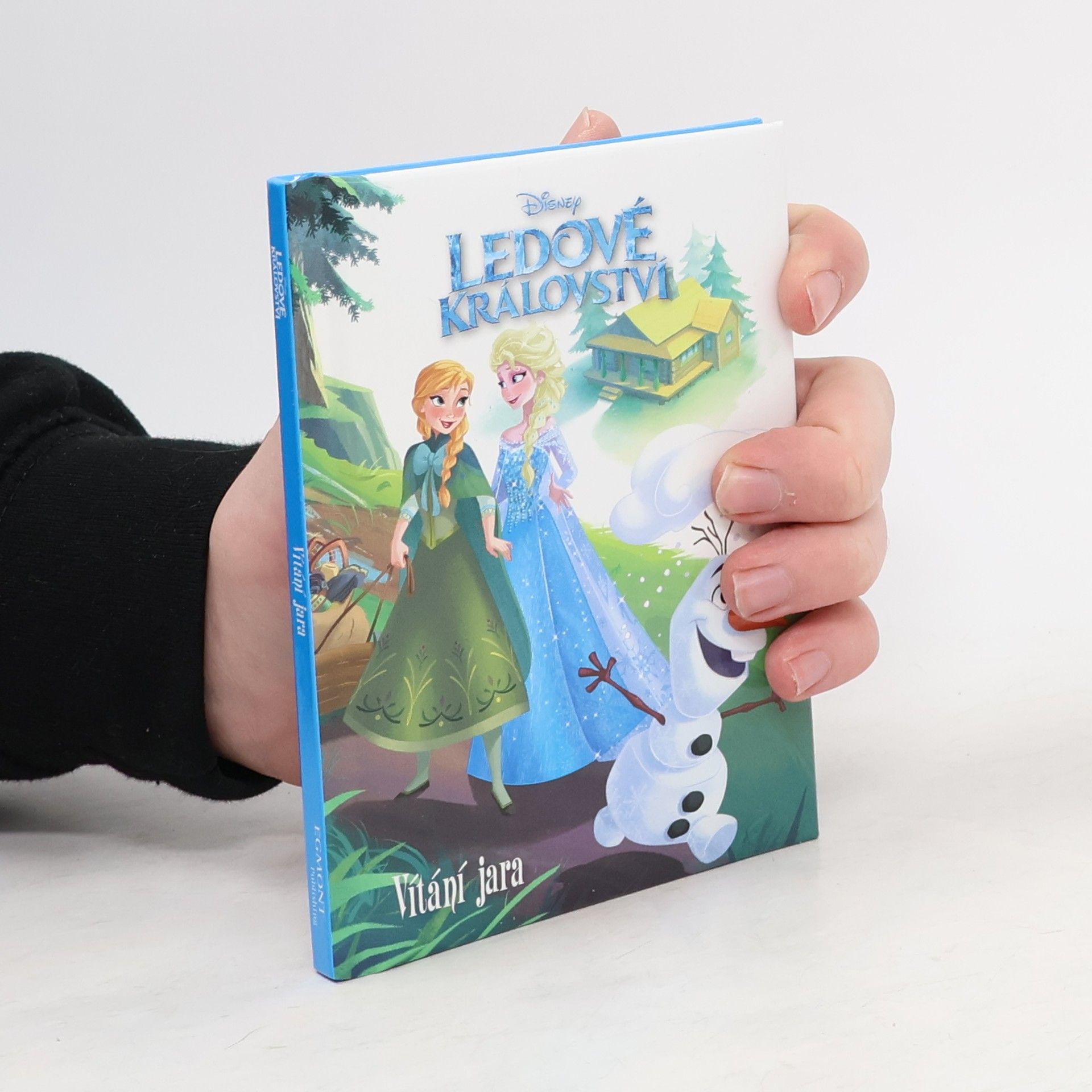 Amy Weingartner Ledové království: vítání jara