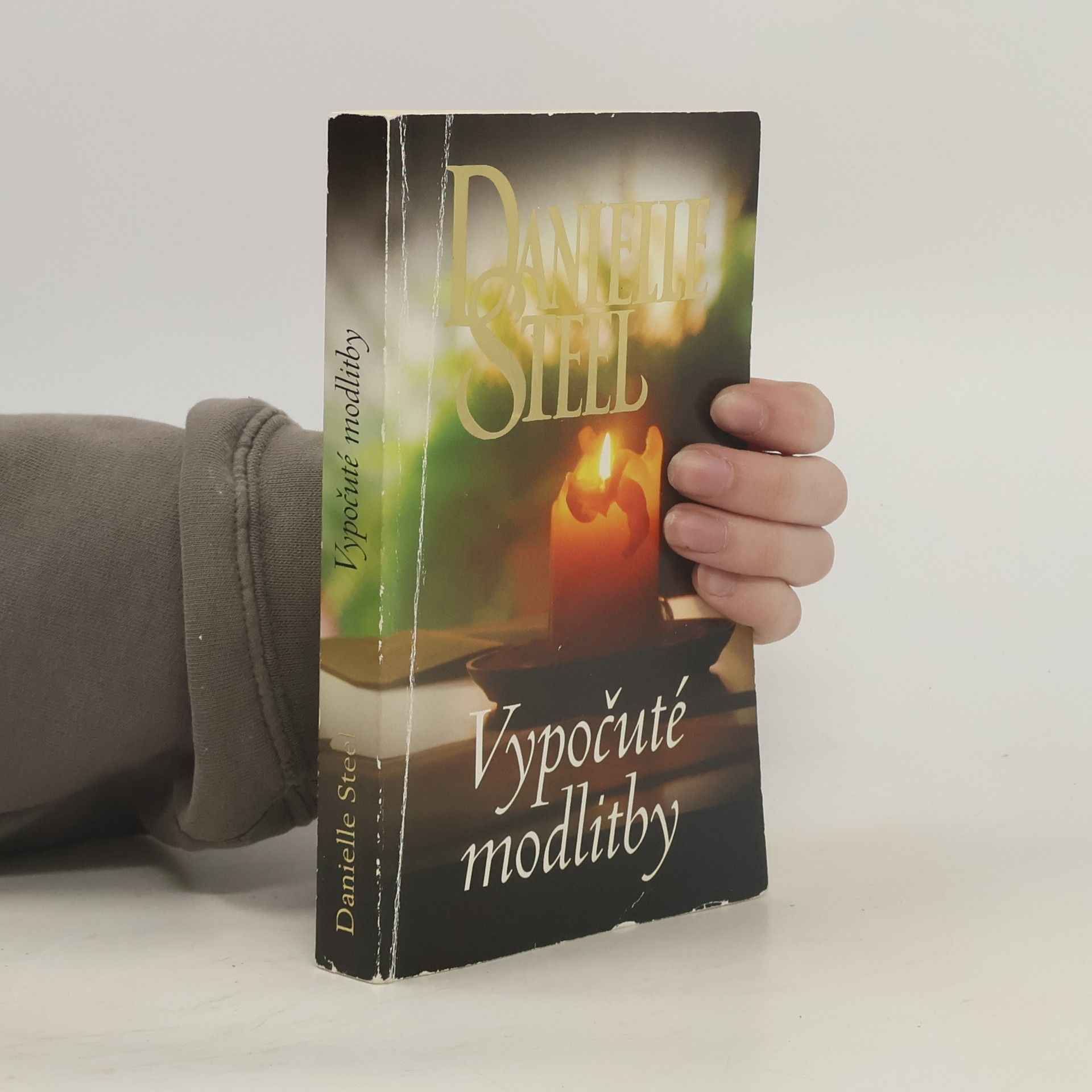 Danielle Steel Vypočuté modlitby