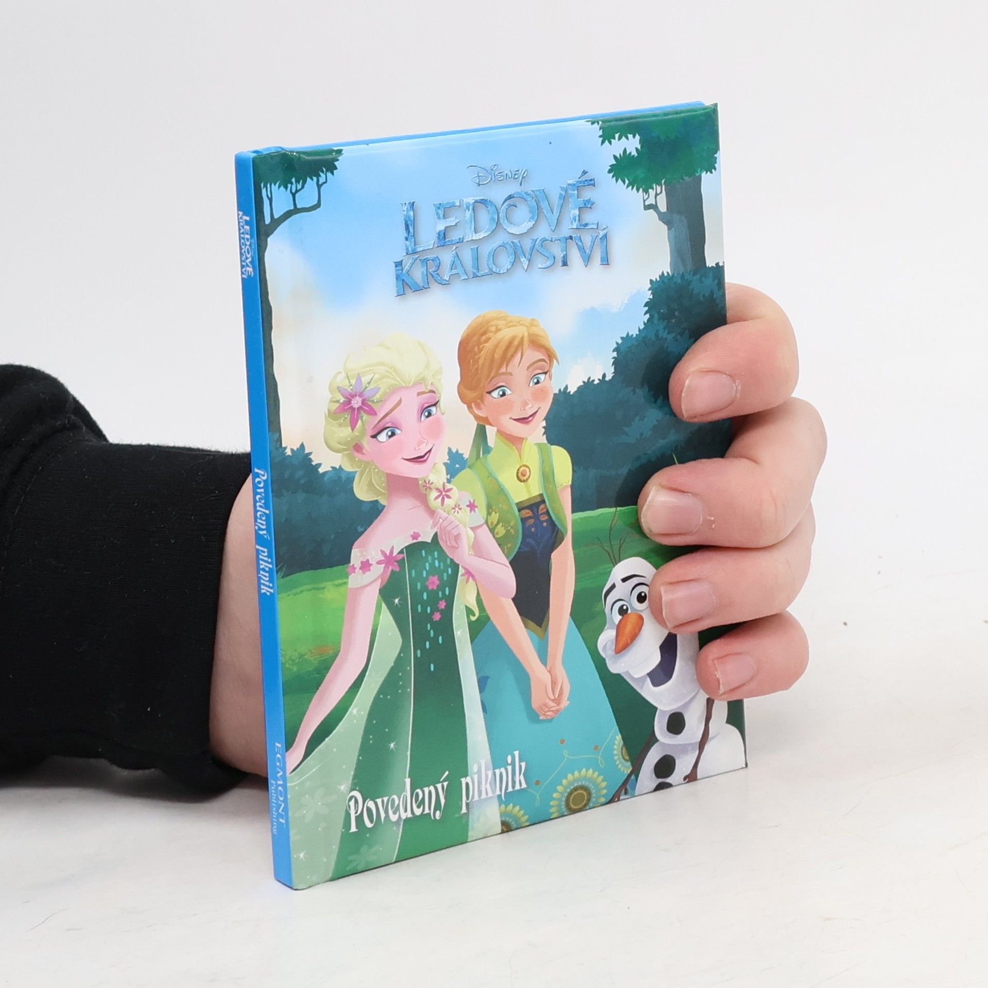 Suzanne Francis Ledové království: povedený piknik