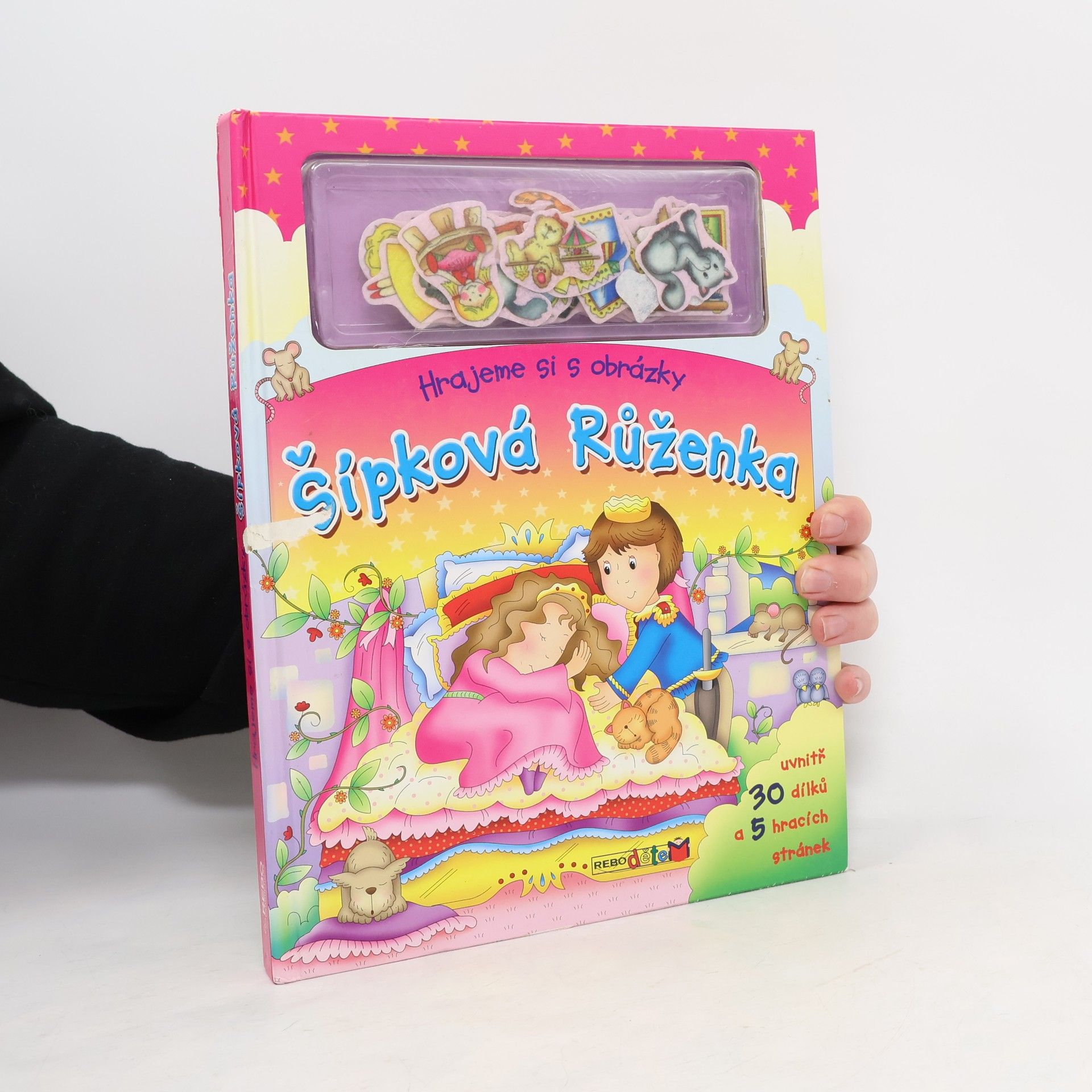 Autorenkollektiv Šípková Růženka - Hrajeme si s obrázky