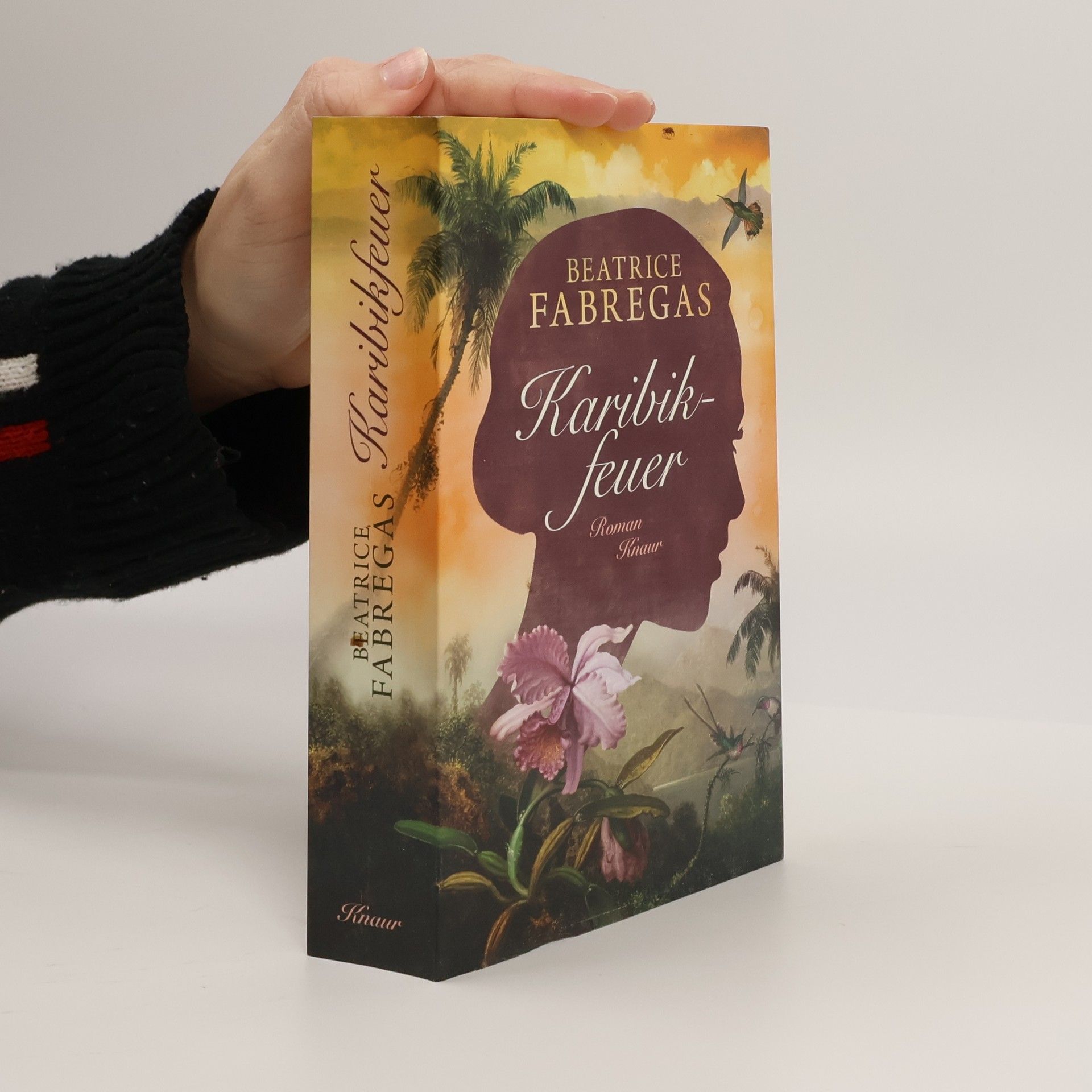 Beatrice Fabregas Karibikfeuer