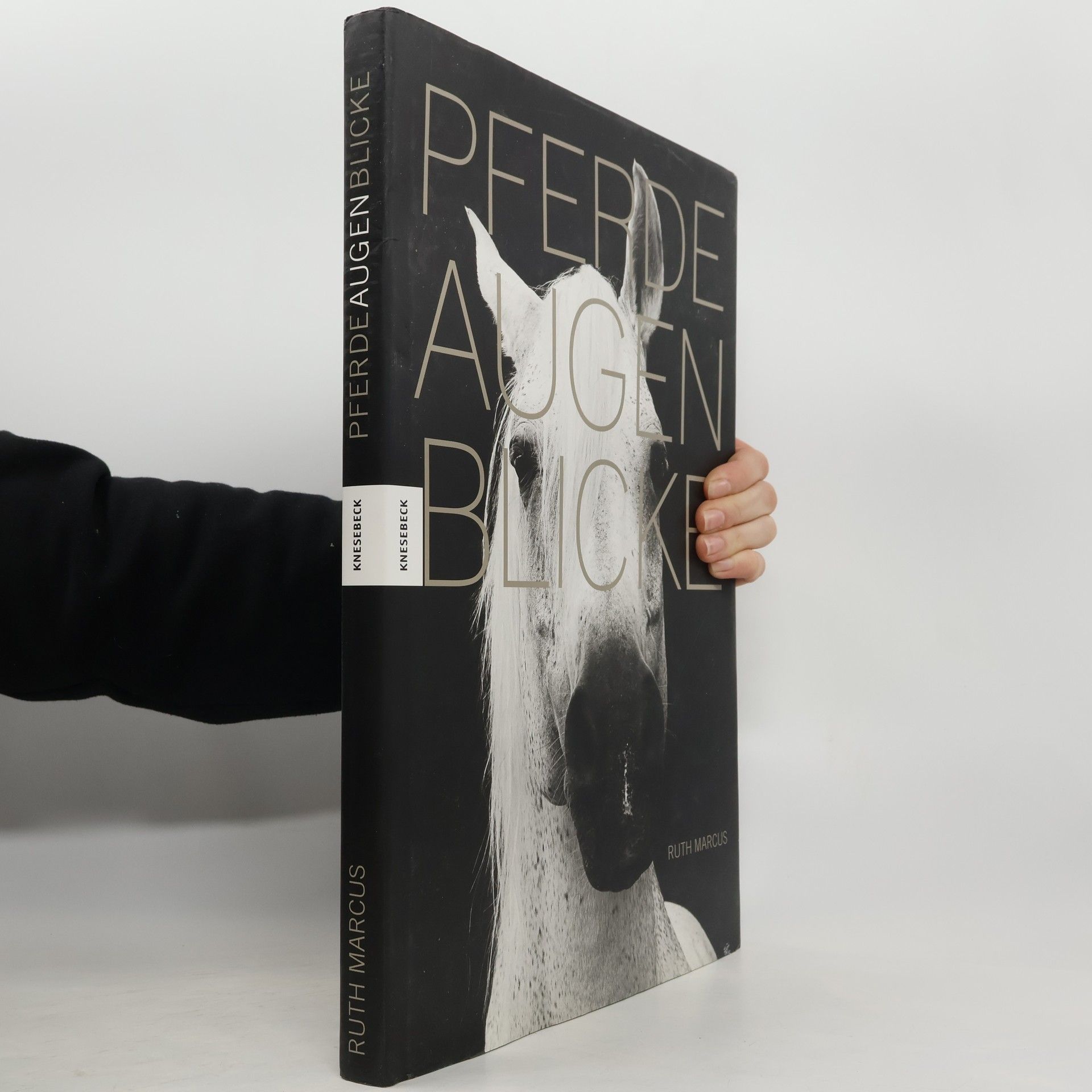 Ruth Marcus Pferdeaugenblicke