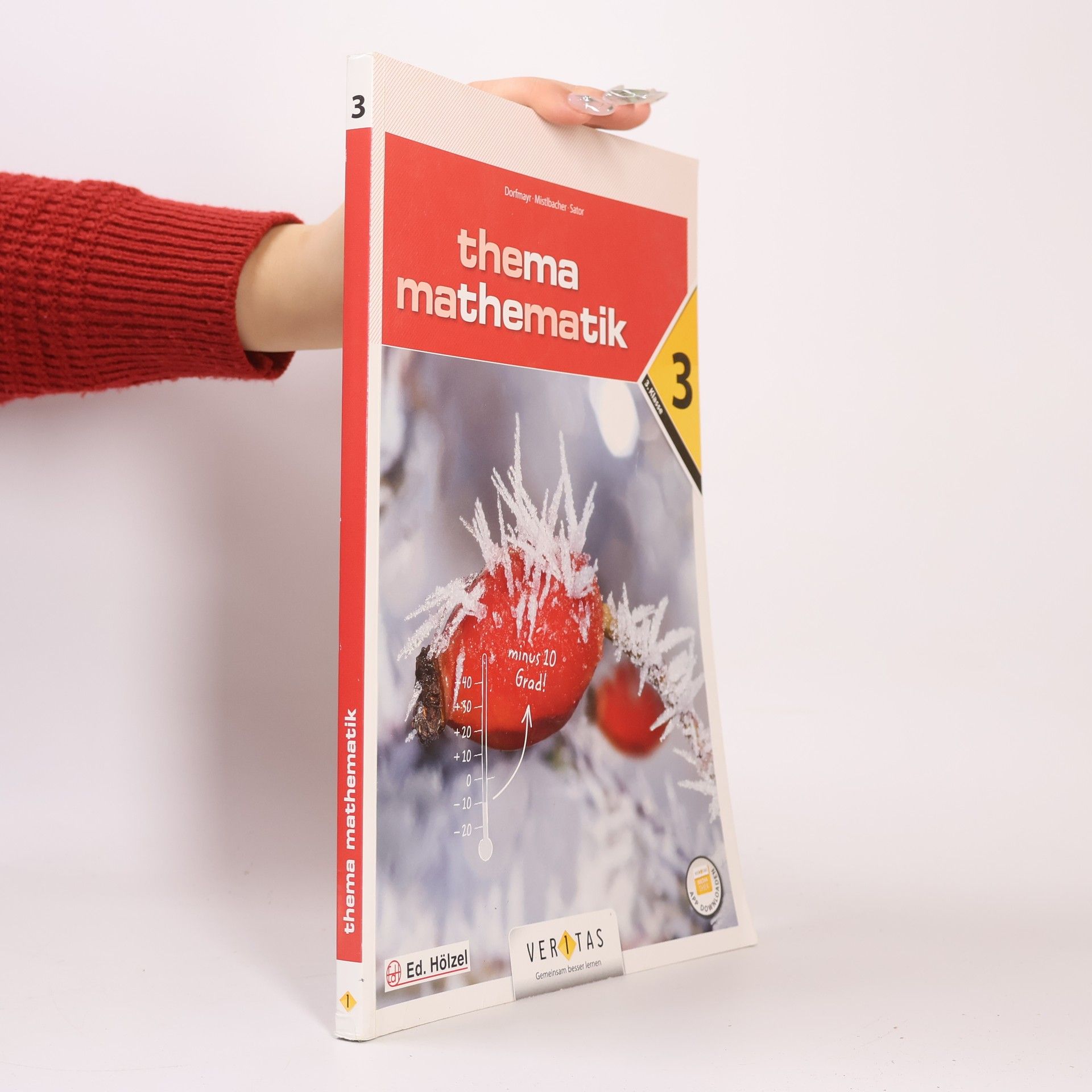 Autorenkollektiv Thema Mathematik