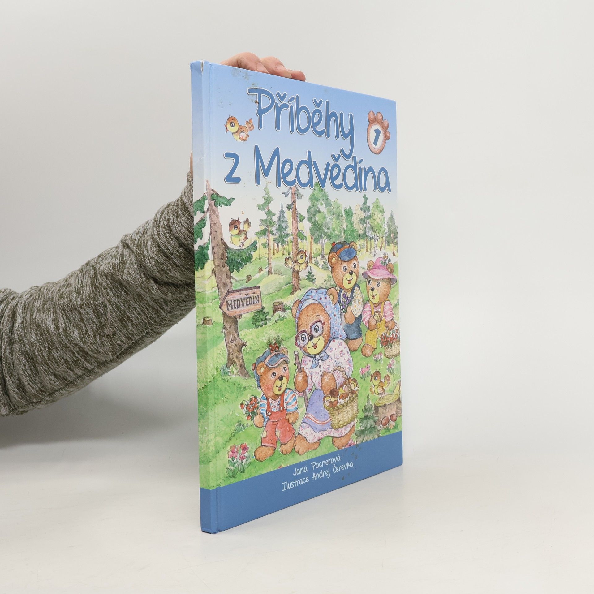 Jana Pacnerová Příběhy z Medvědína. 1