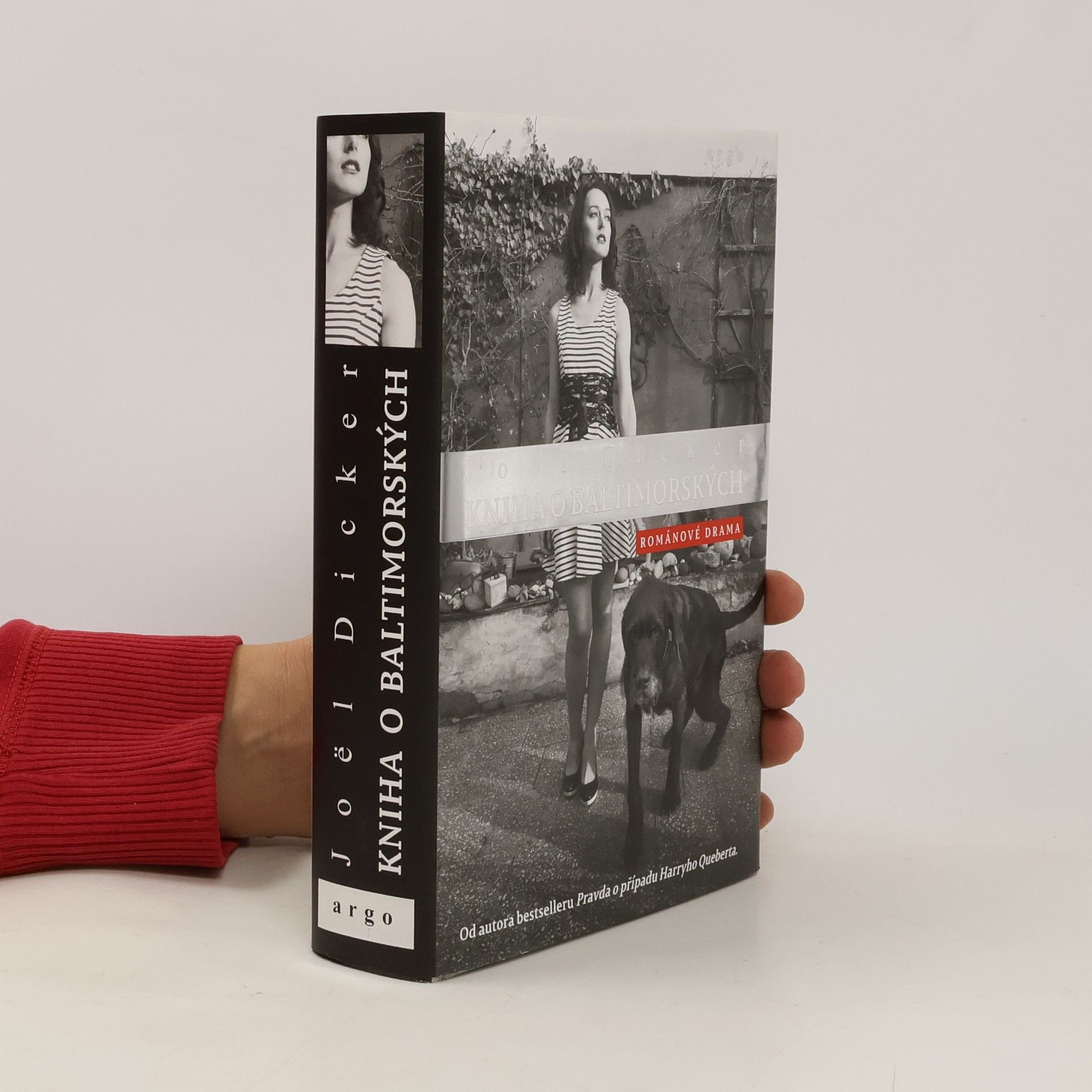 Joël Dicker Kniha o Baltimorských