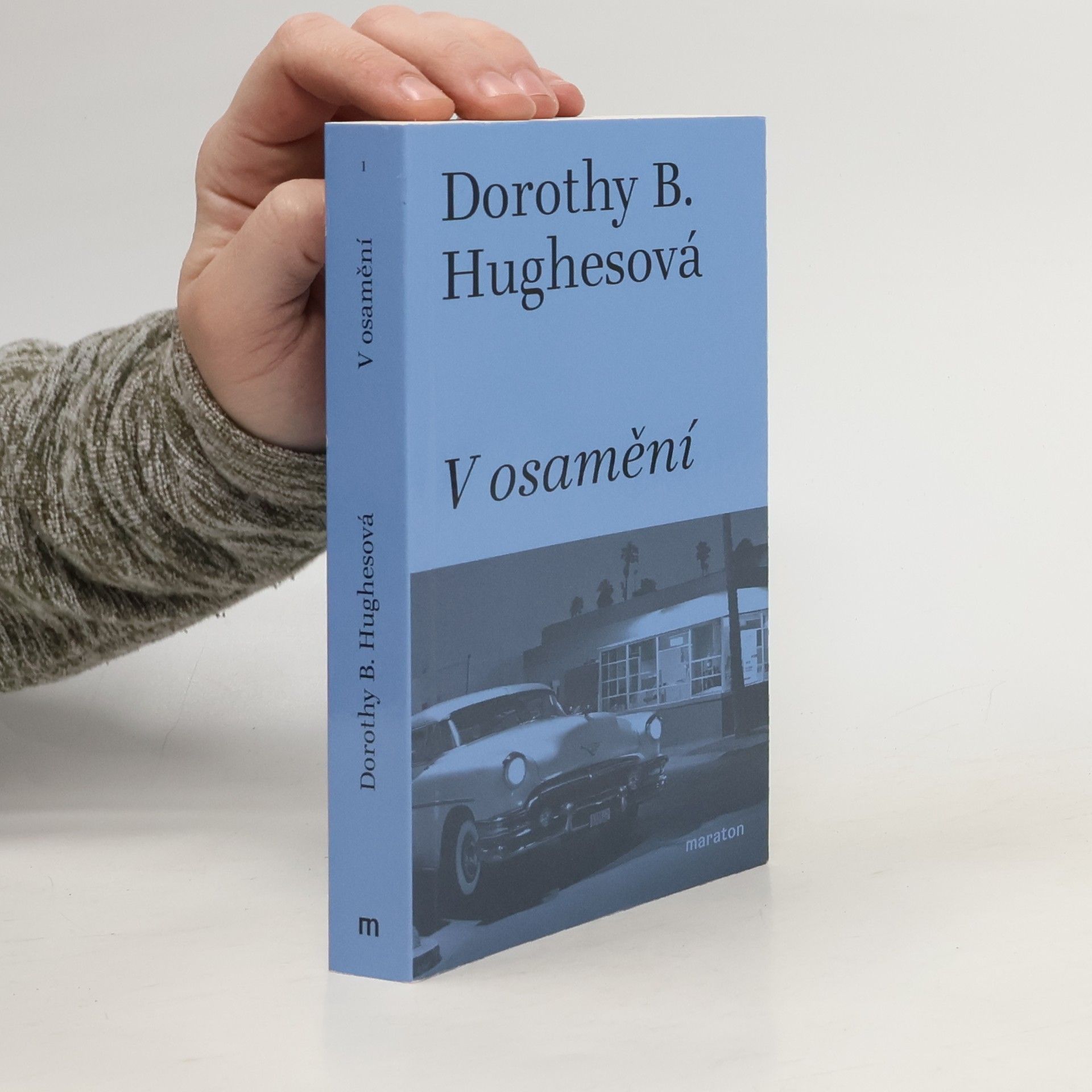 Martin Pokorný V osamění