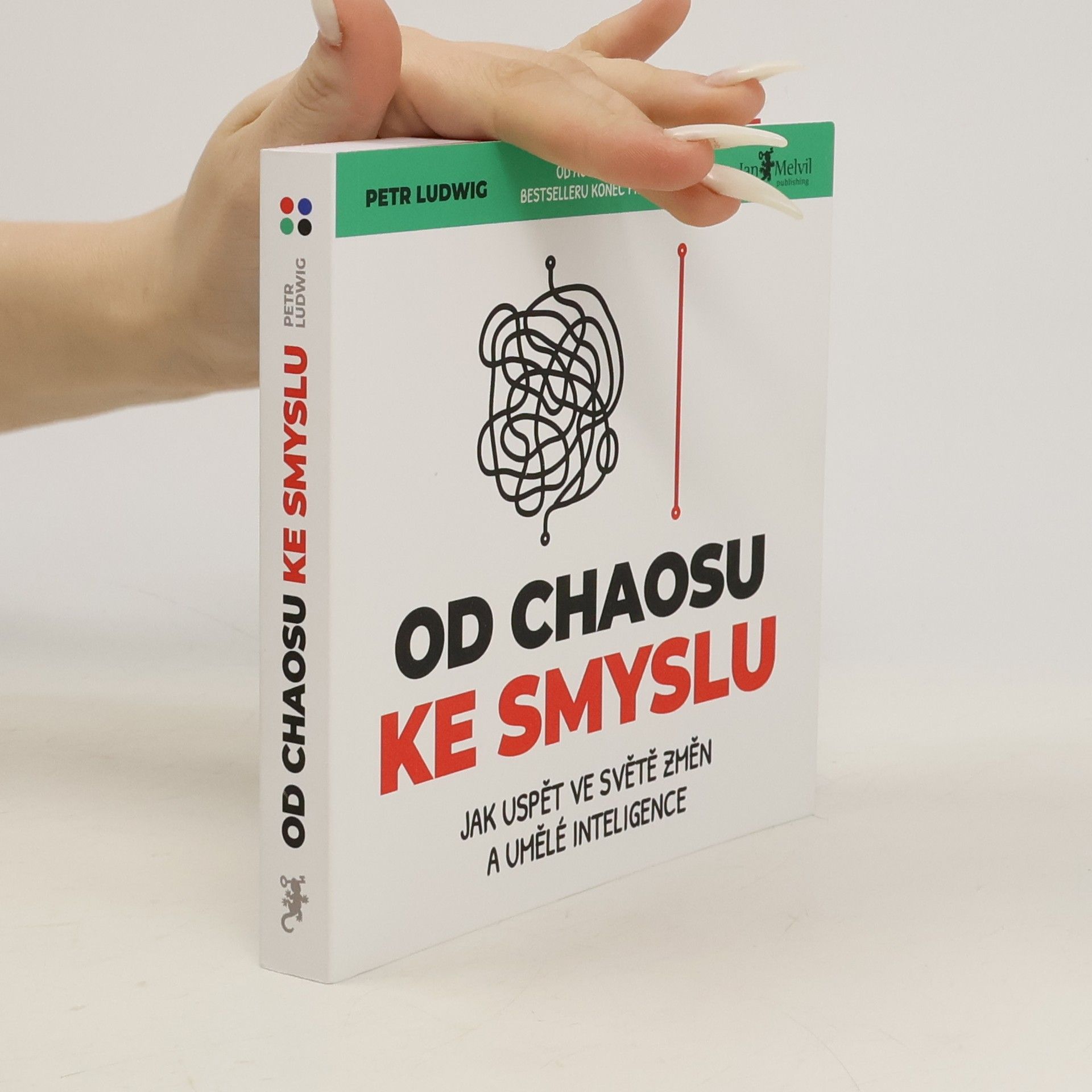 Od chaosu ke smyslu