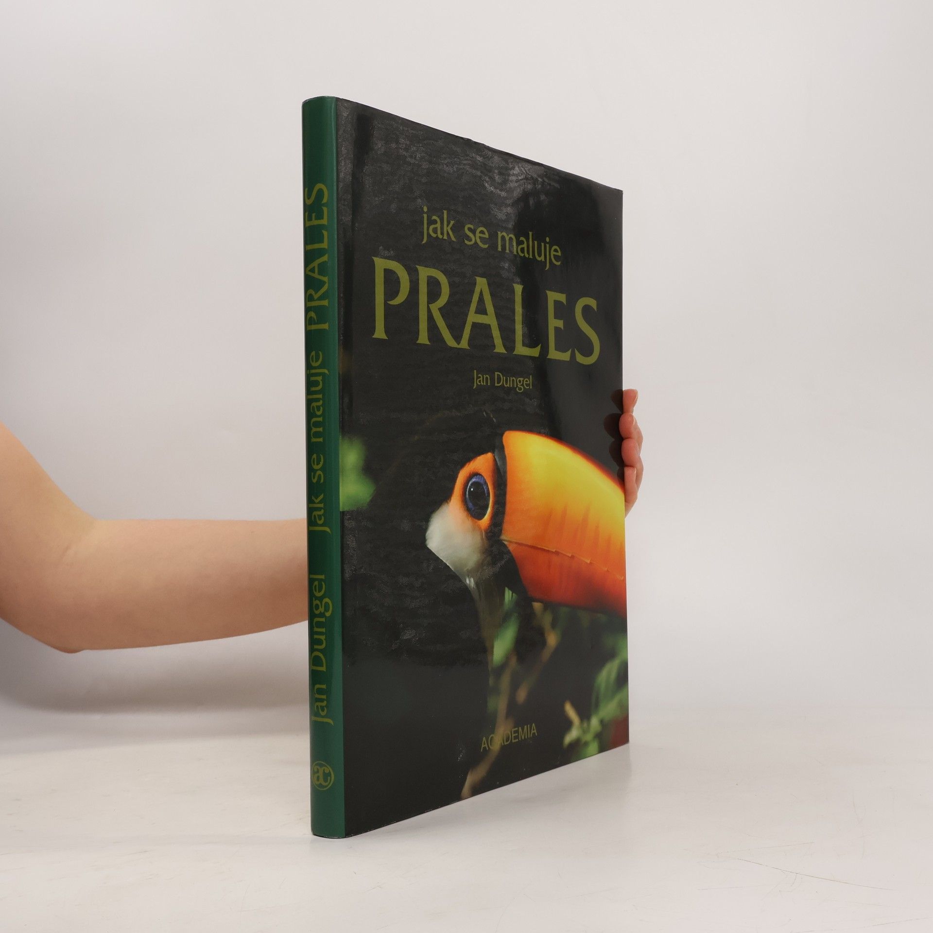 Jan Dungel Jak se maluje prales