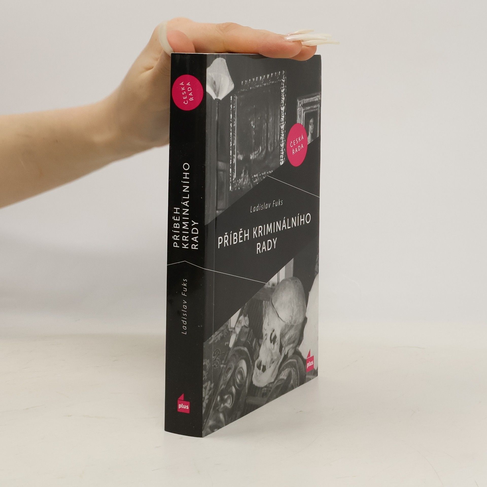 Ladislav Fuks Příběh kriminálního rady