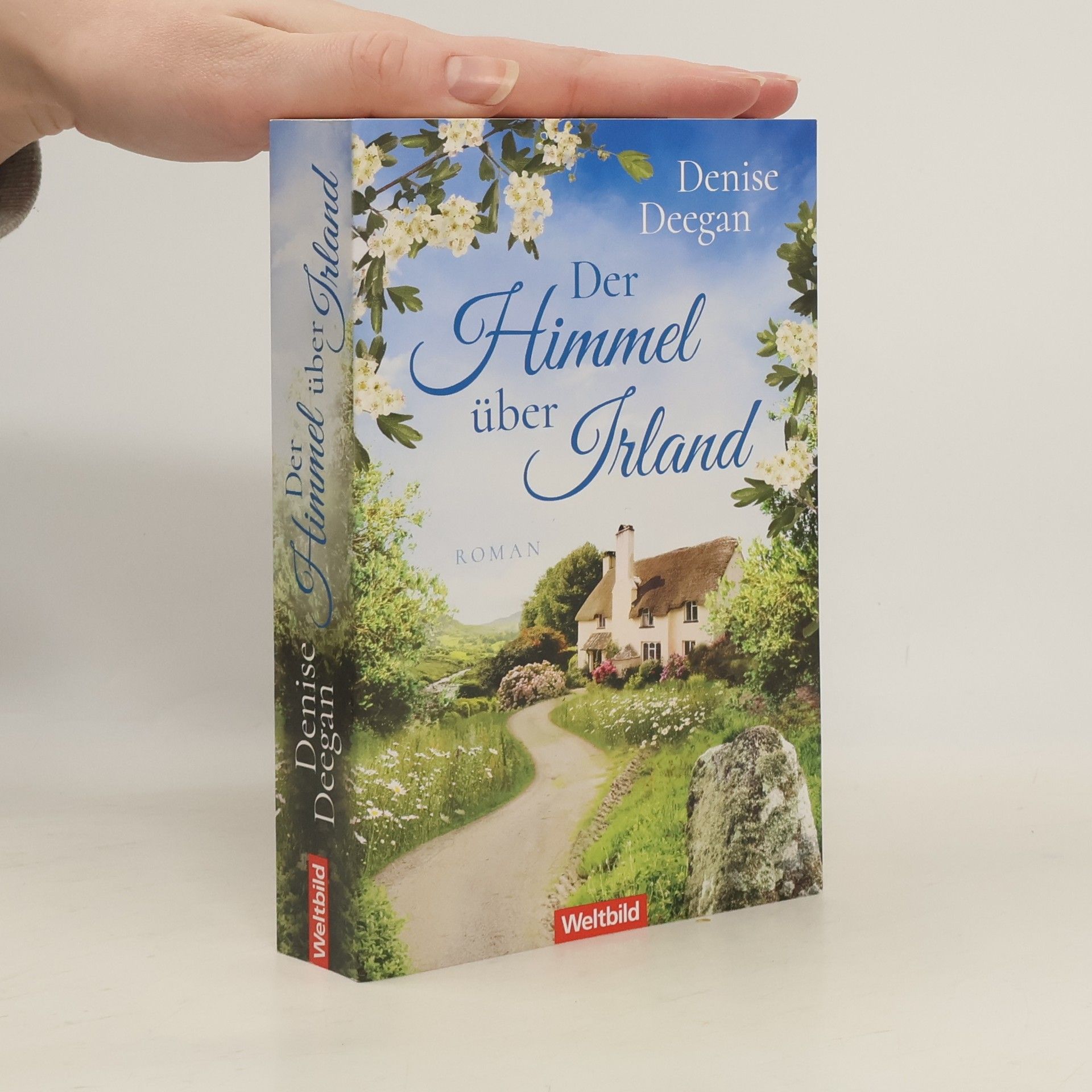 Denise Deegan Der Himmel über Irland