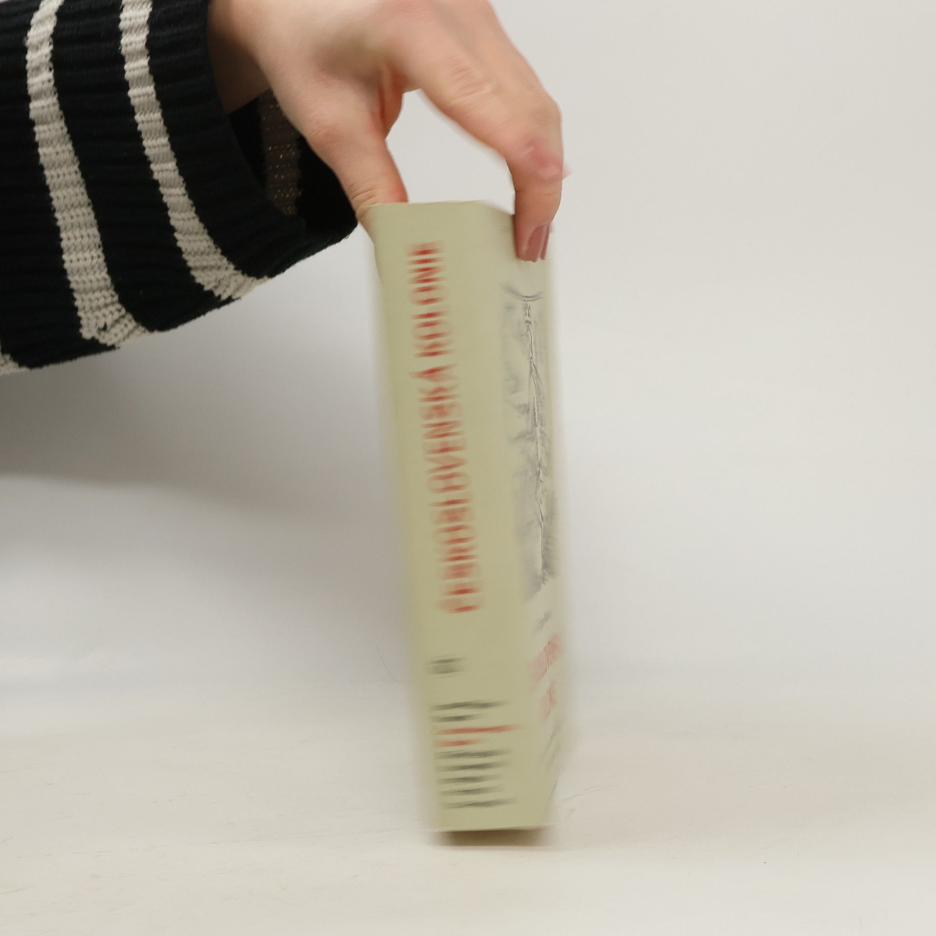 Jean Philippe Namont Československá Kolonie - Dějiny české a slovenské imigrace ve Francii (1914-1940)