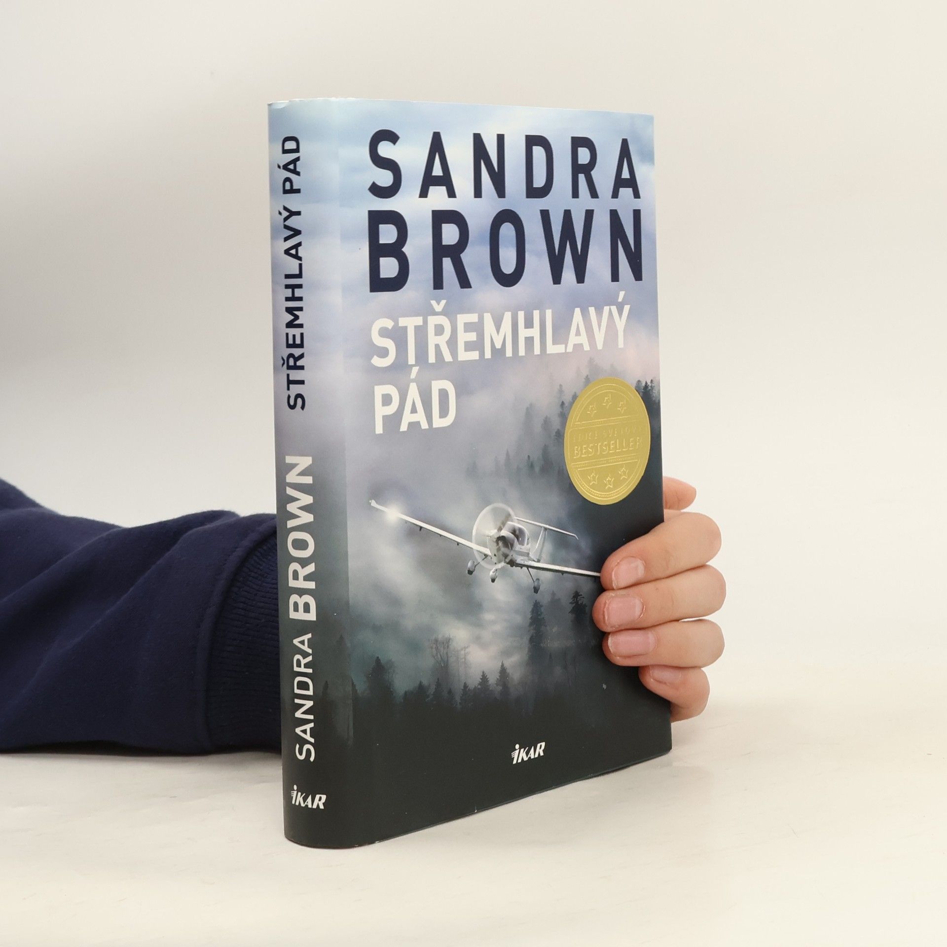 Sandra Brown Střemhlavý pád