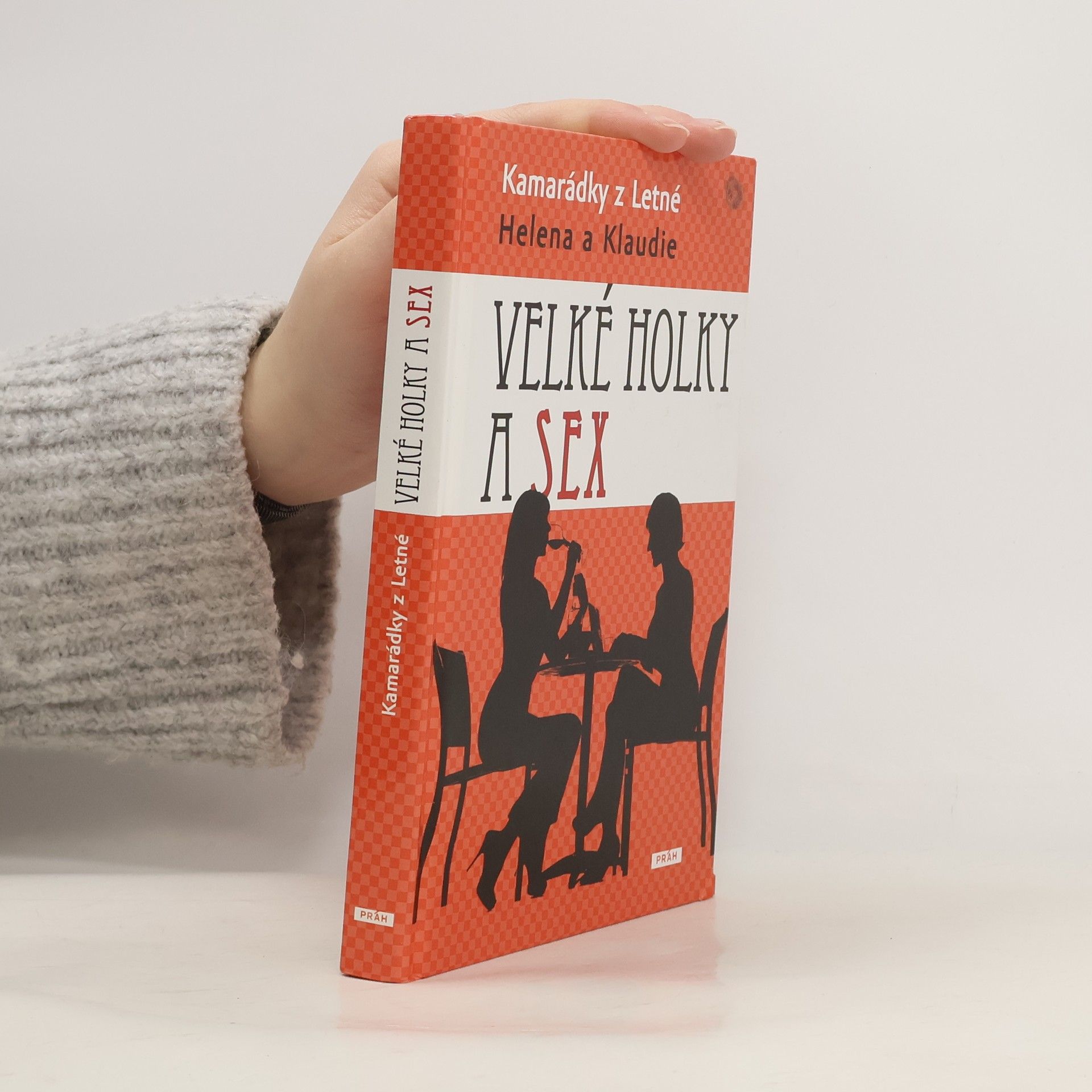 Autorenkollektiv Velké holky a sex