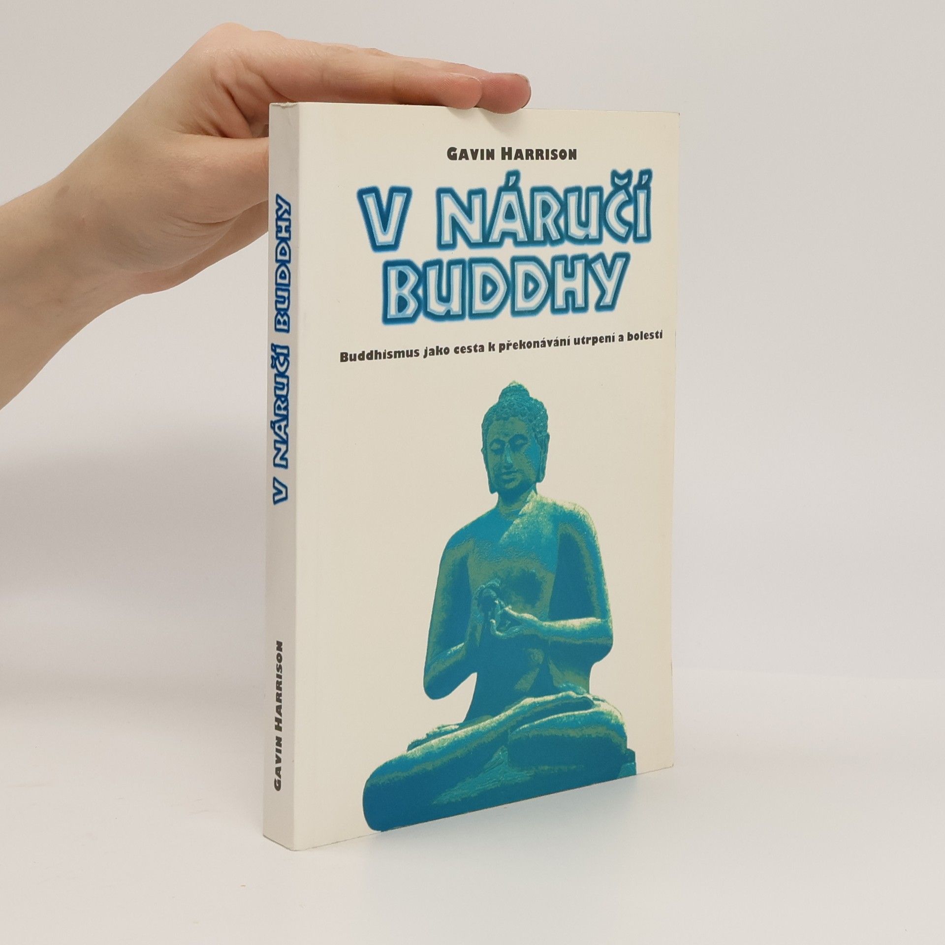 Gavin Harrison V náručí Buddhy