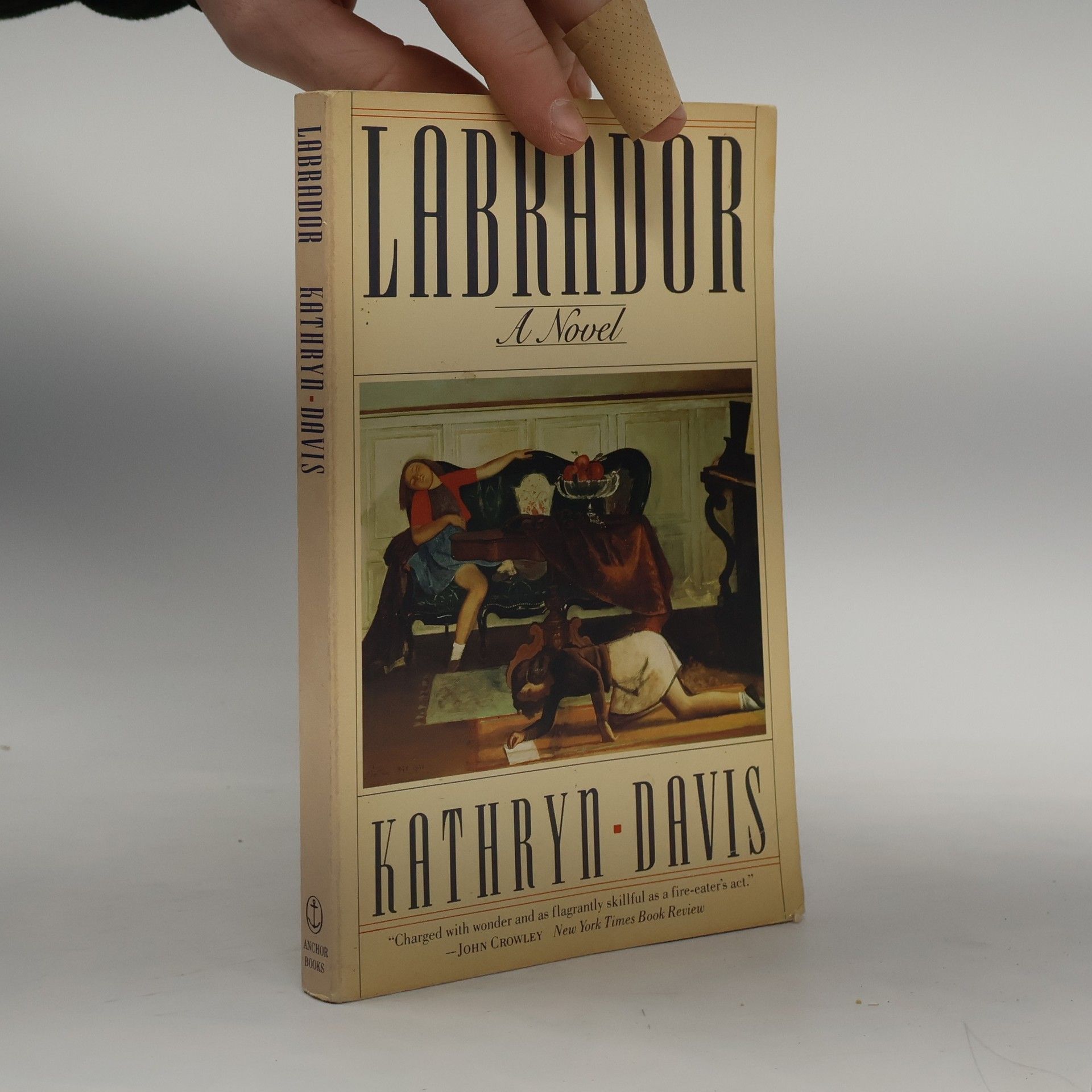 Kathryn Davis Labrador