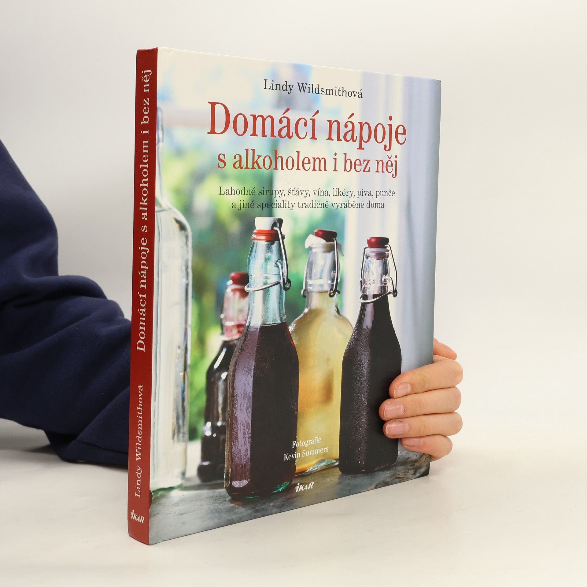 Lindy Wildsmith Domácí nápoje s alkoholem i bez něj