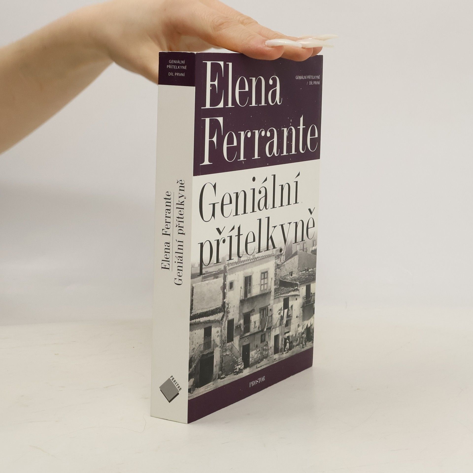Elena Ferrante Geniální přítelkyně 1. Dětství a dospívání