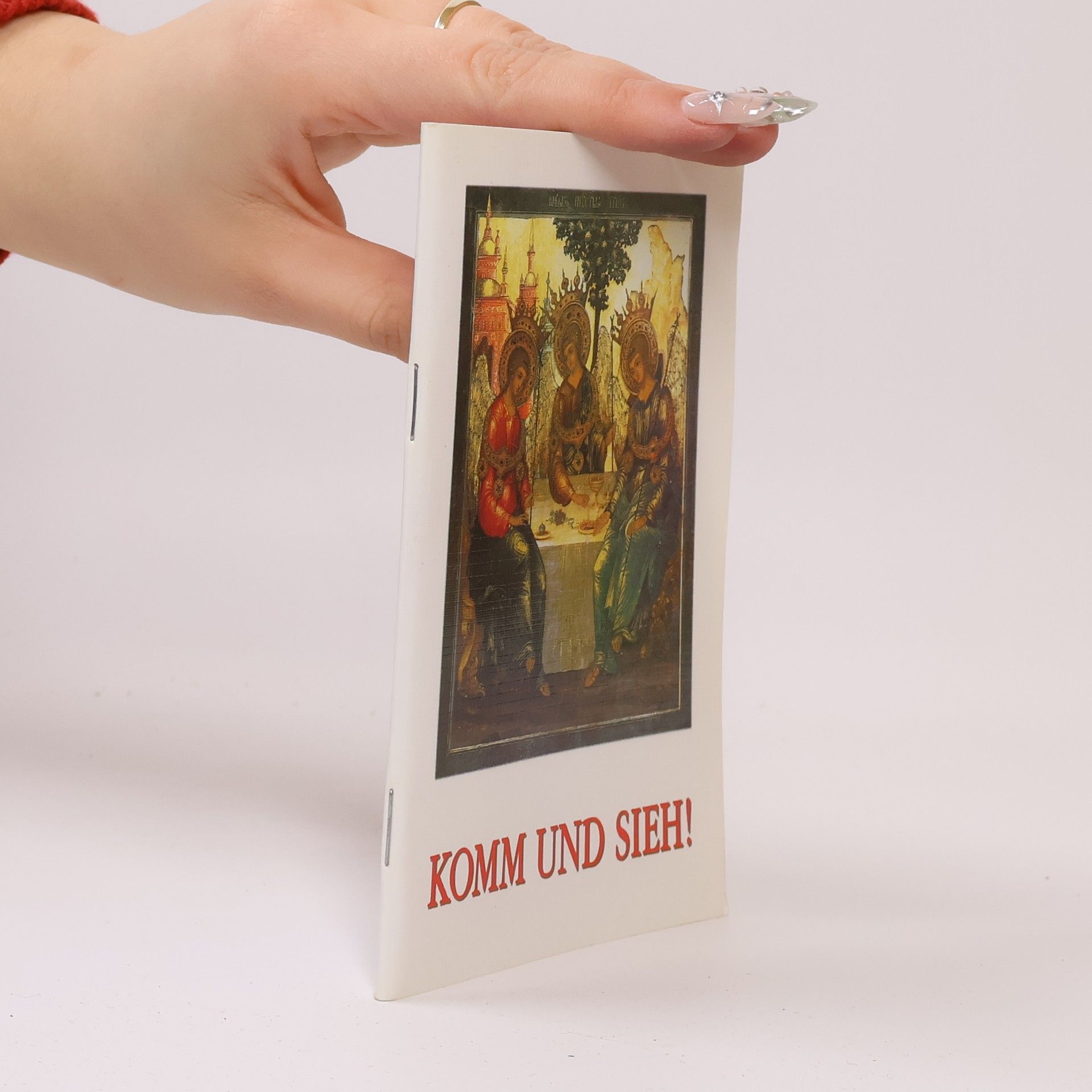 Autorenkollektiv Komm und sieh!