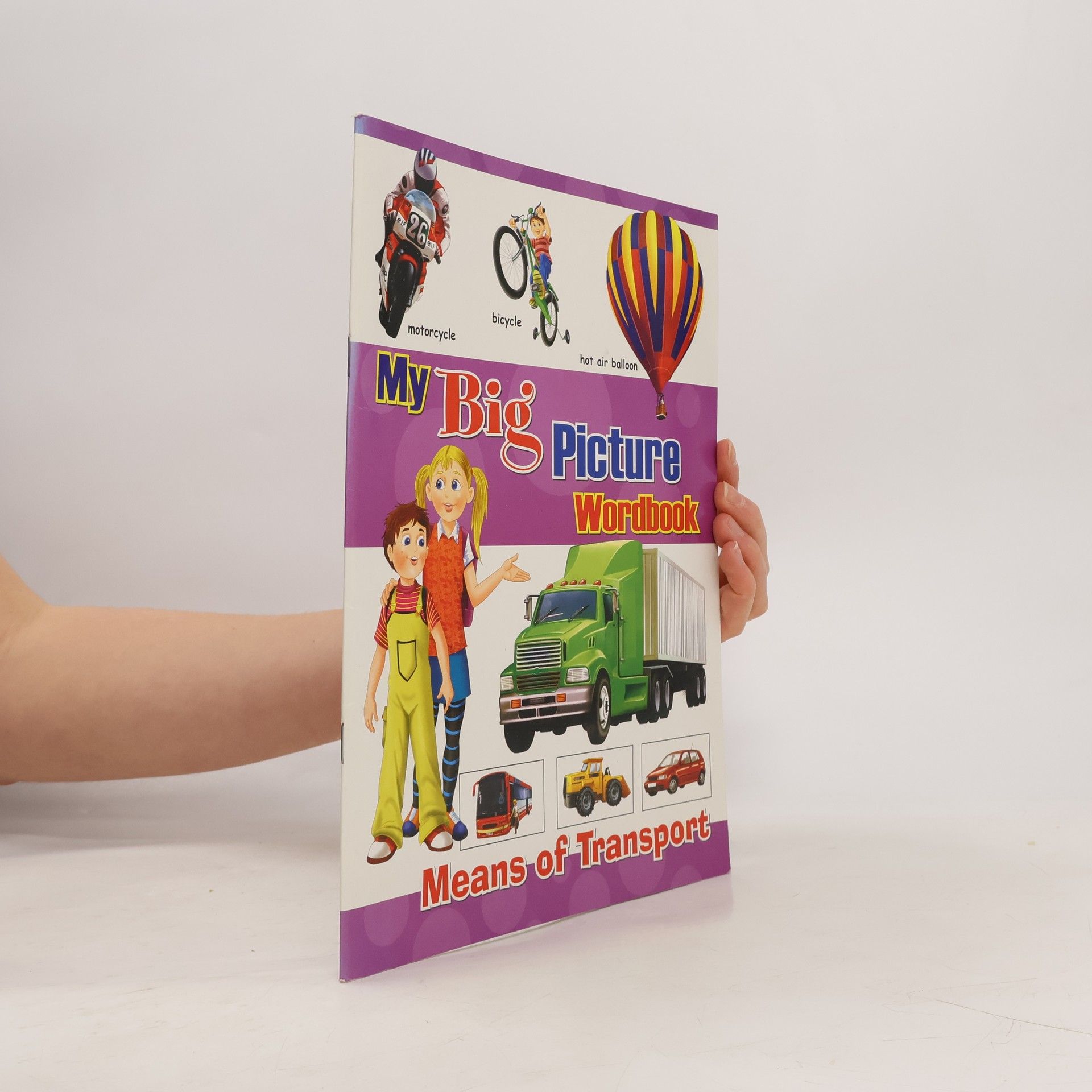 Madhu Singh Sirohi My Big Picture Wordbook