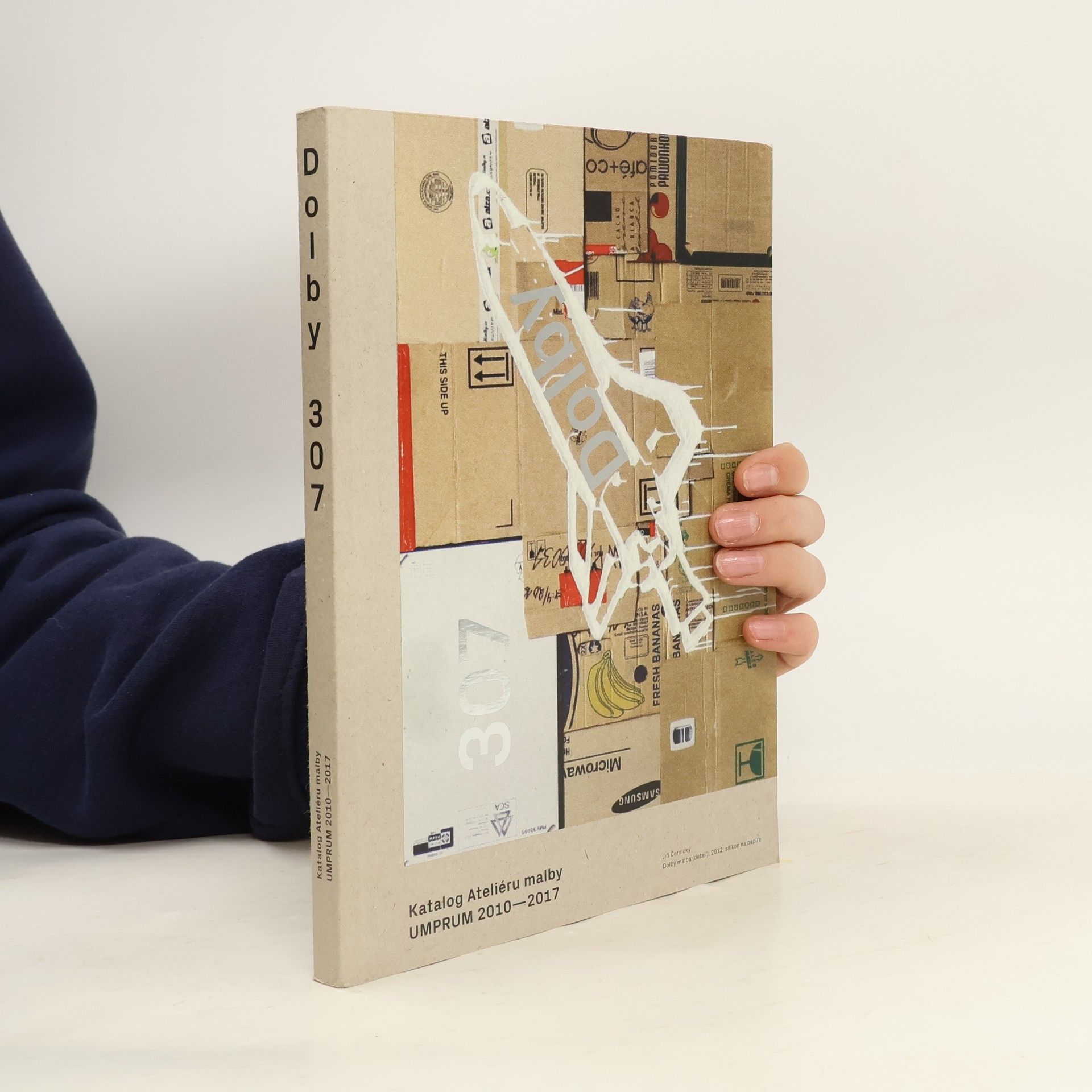 Eva Skopalová Dolby 307 - Katalog Ateliéru malby UMPRUM 2010–2017