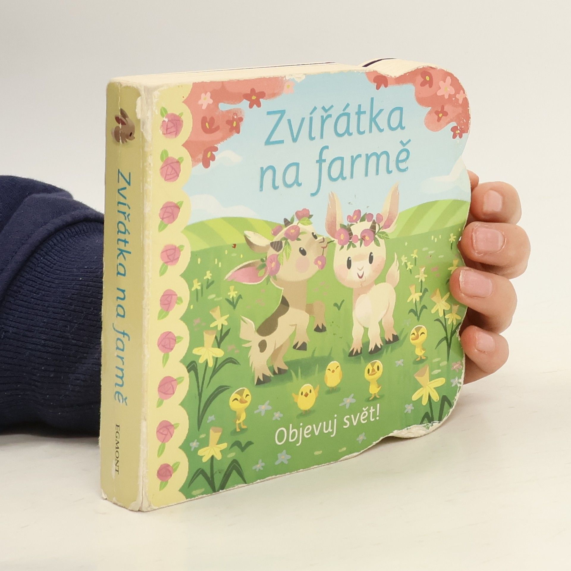 Ginger Swift Zvířátka na farmě : Objevuj svět!