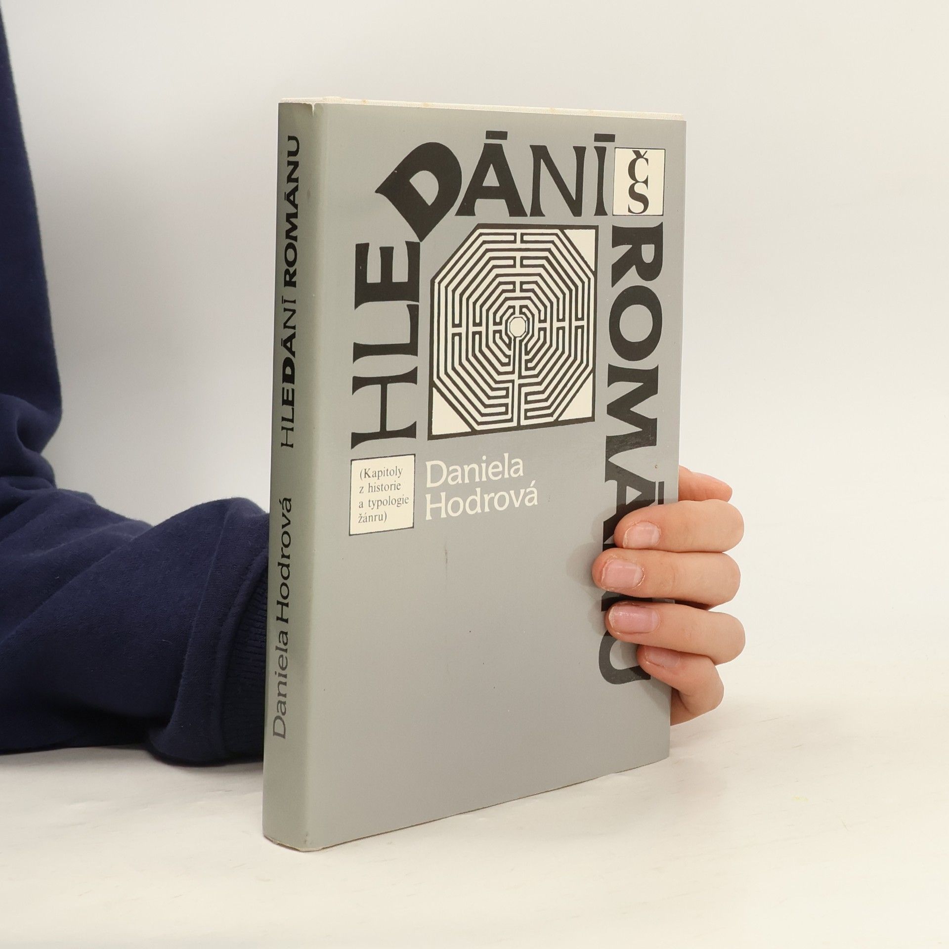 Daniela Hodrova Hledání románu
