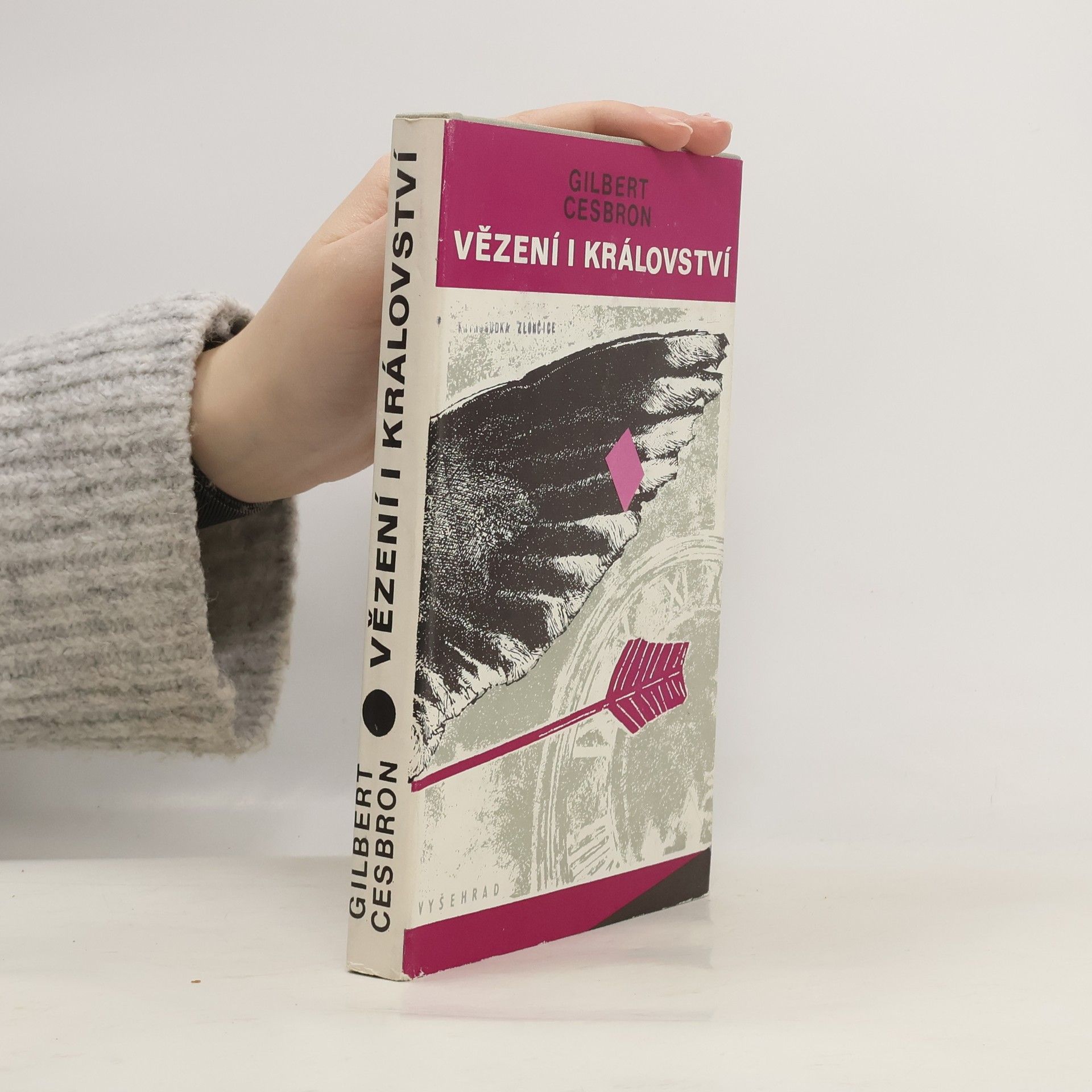 Vladimír Binar Vězení i království