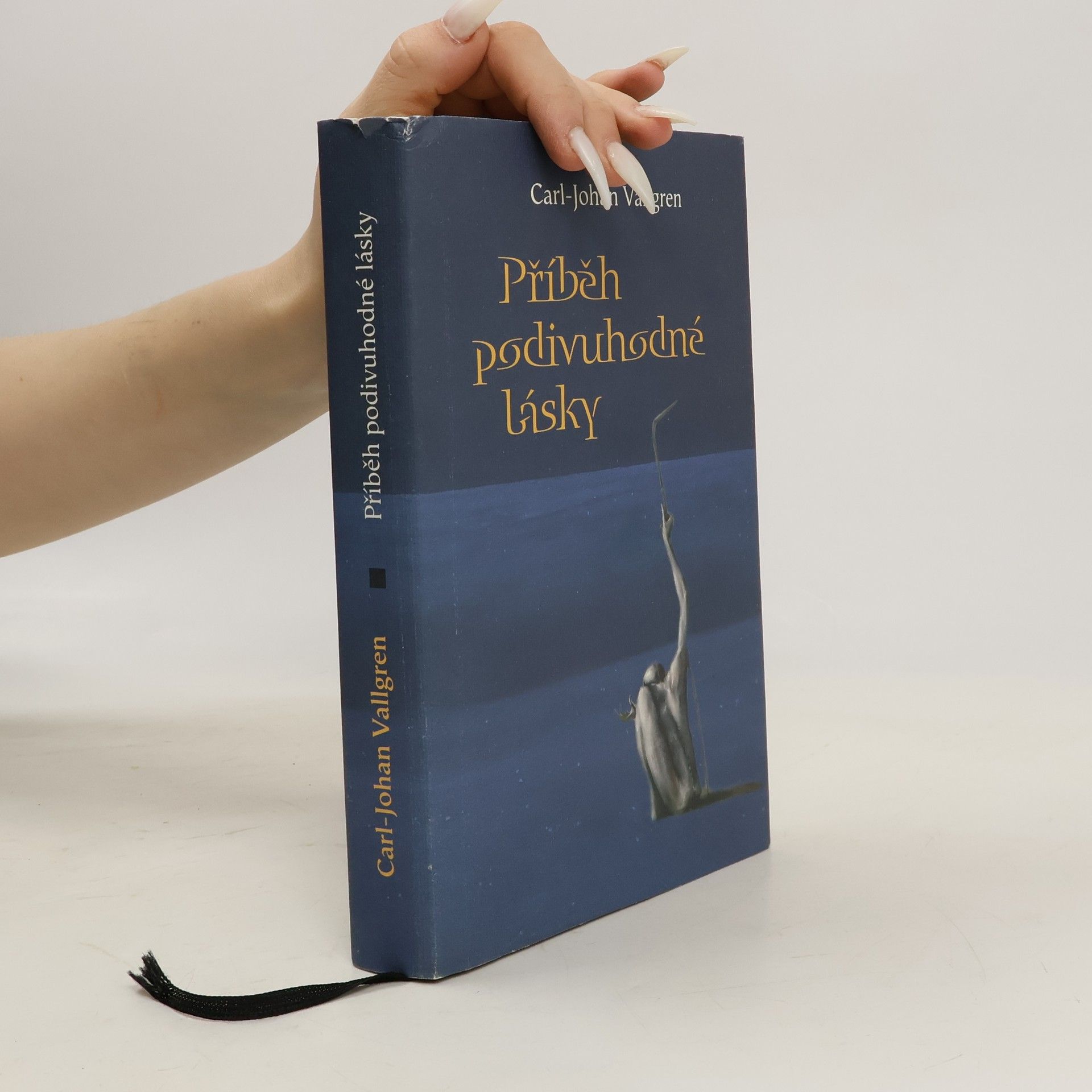 Carl Johan Vallgren Příběh podivuhodné lásky