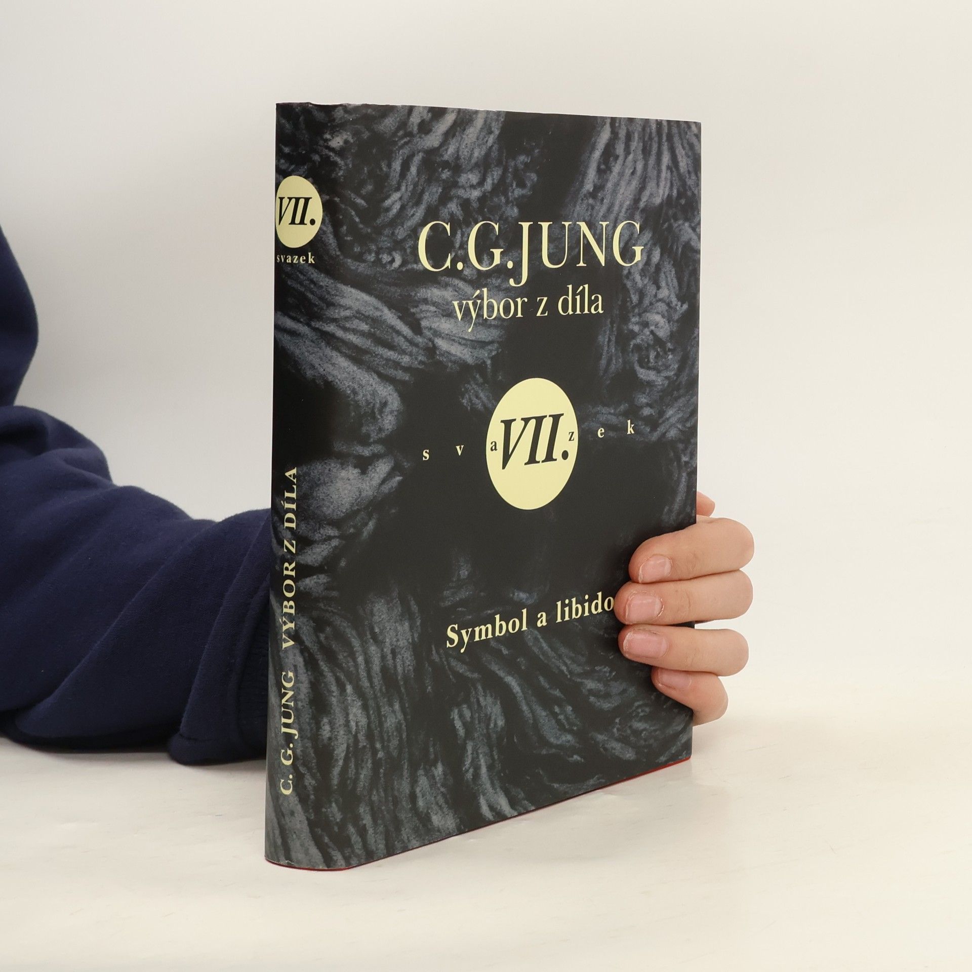 Carl Jung Výbor z díla VII.