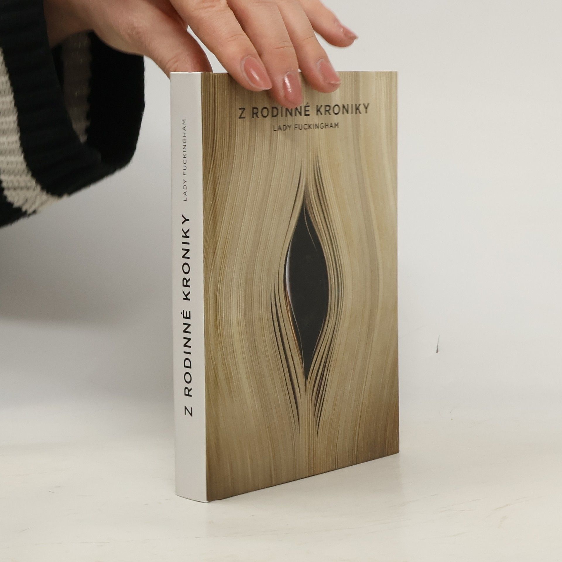 Kolektiv autorů Z rodinné kroniky Lady Fuckingham