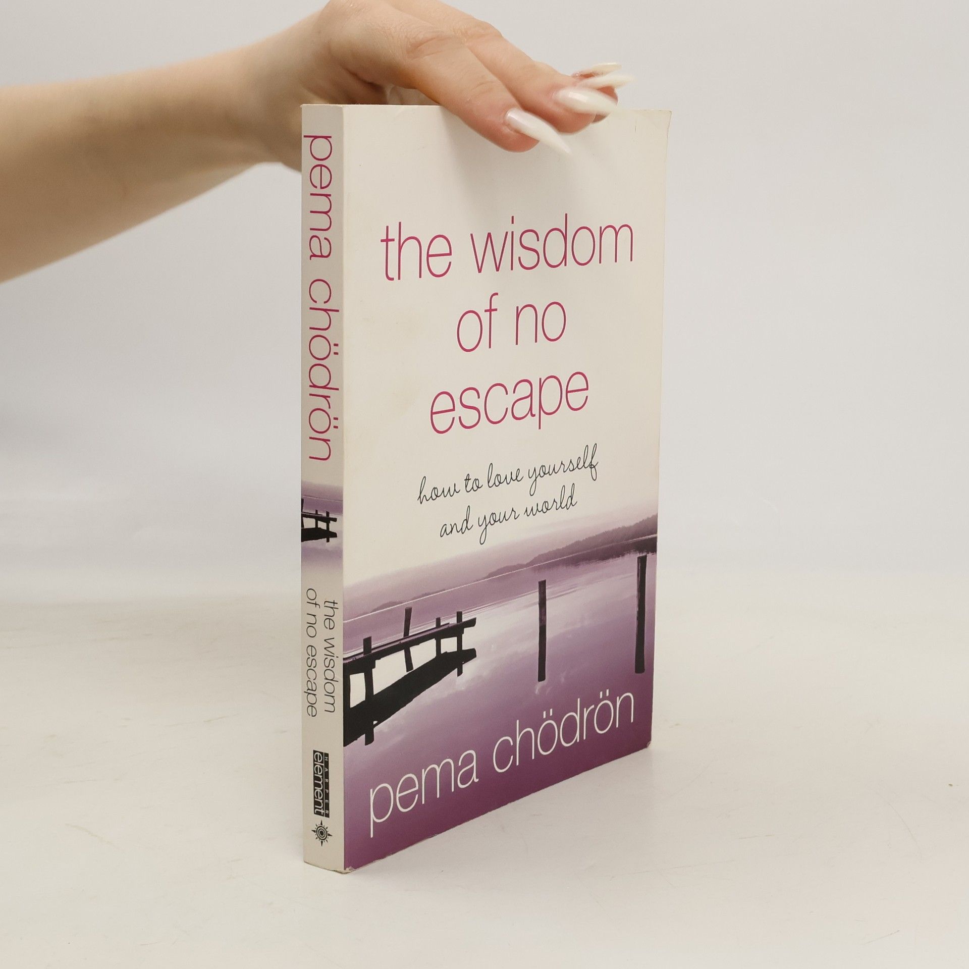Pema Chödrön The Wisdom of No Escape