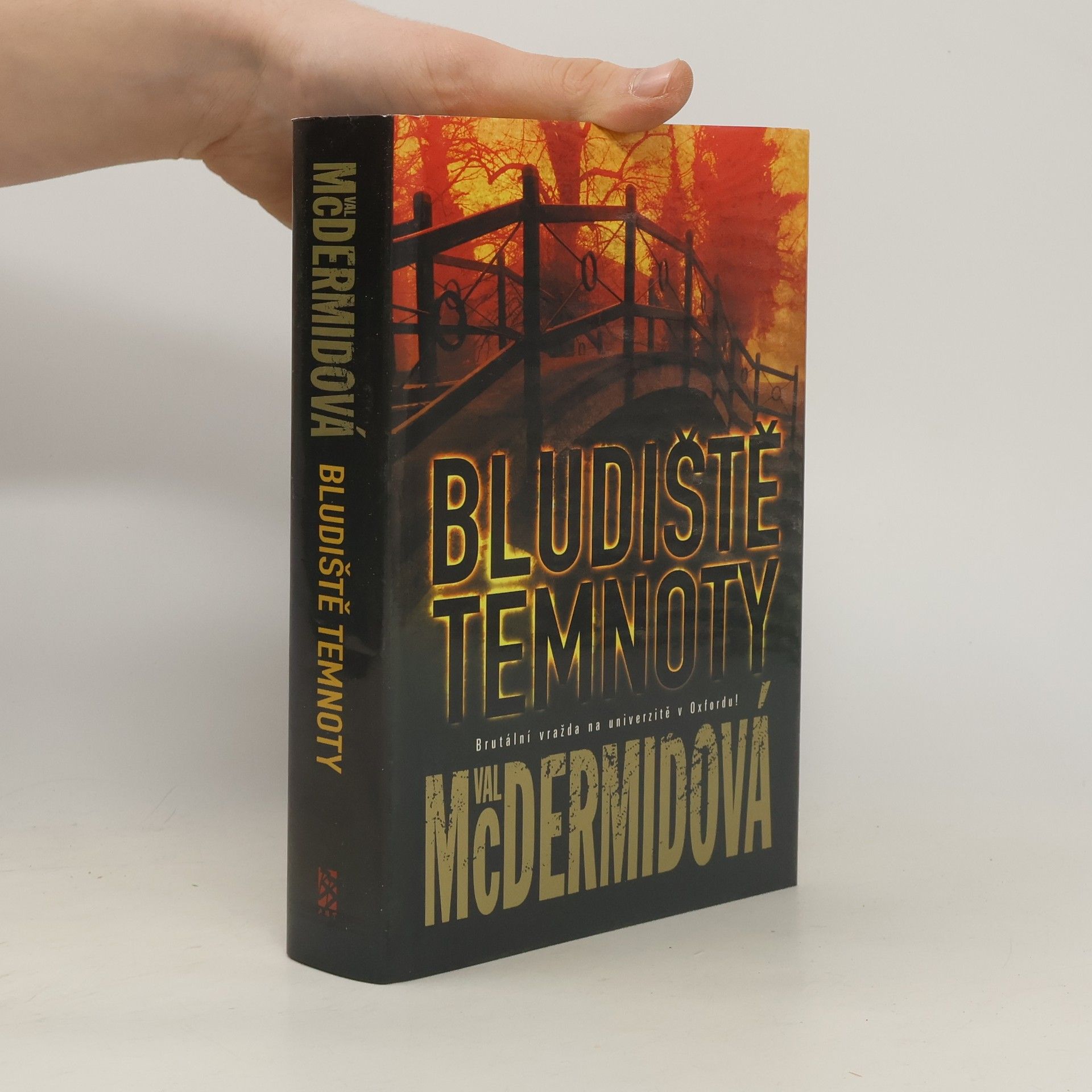 Val McDermid Bludiště temnoty
