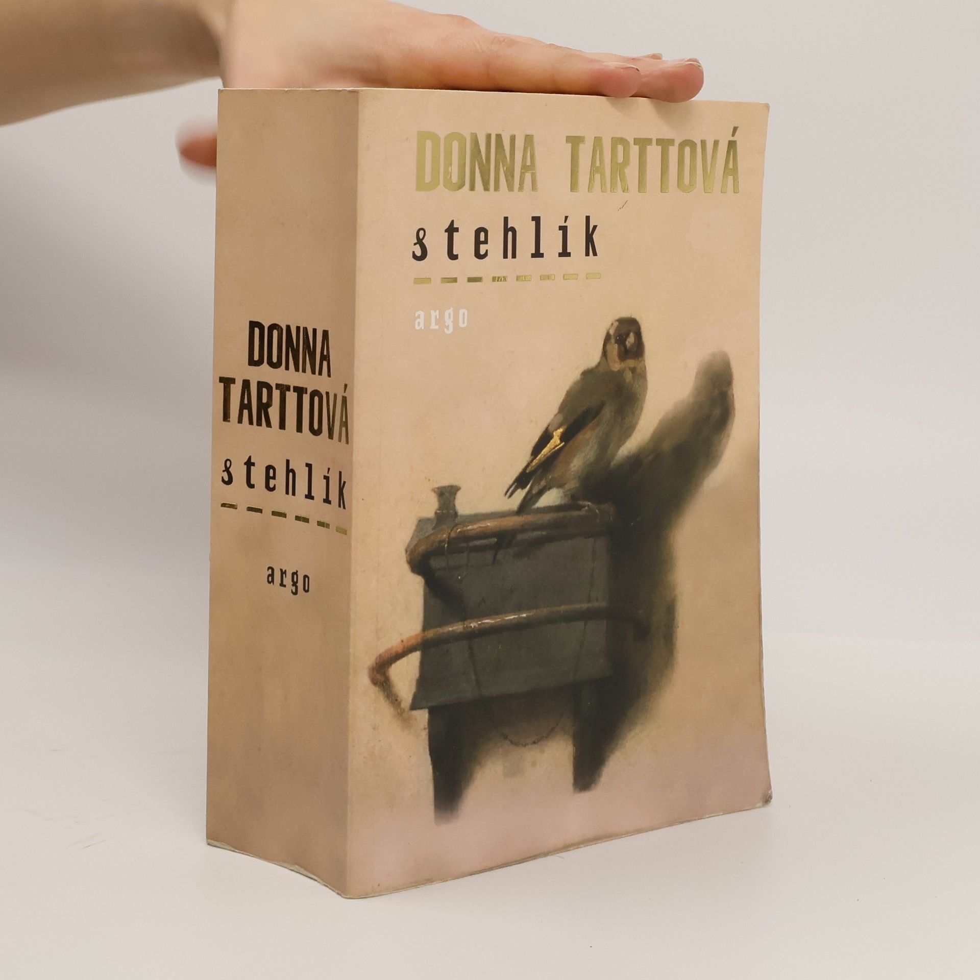 Donna Tartt Stehlík