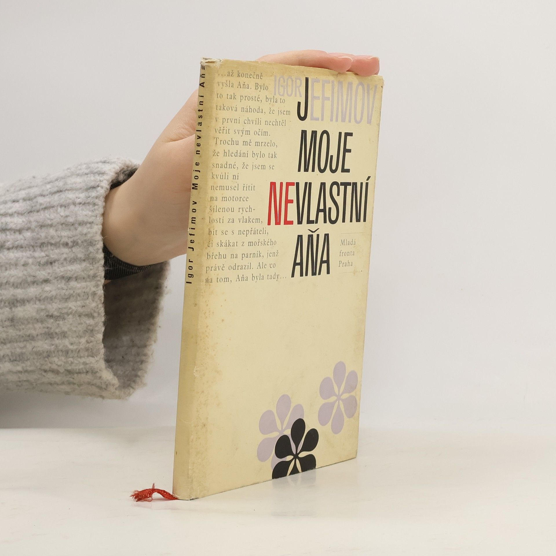 Moje nevlastní Aňa