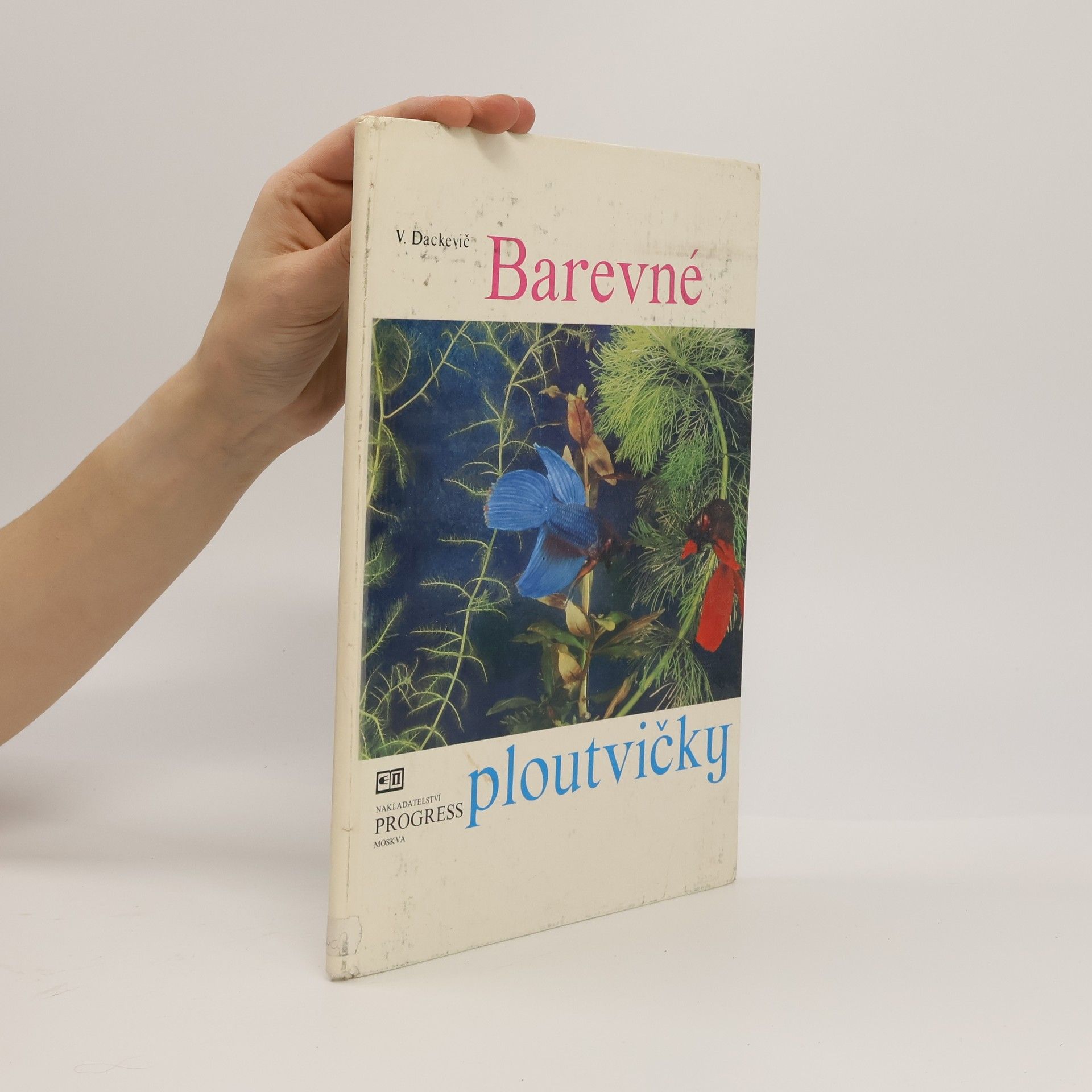 Barevné ploutvičky