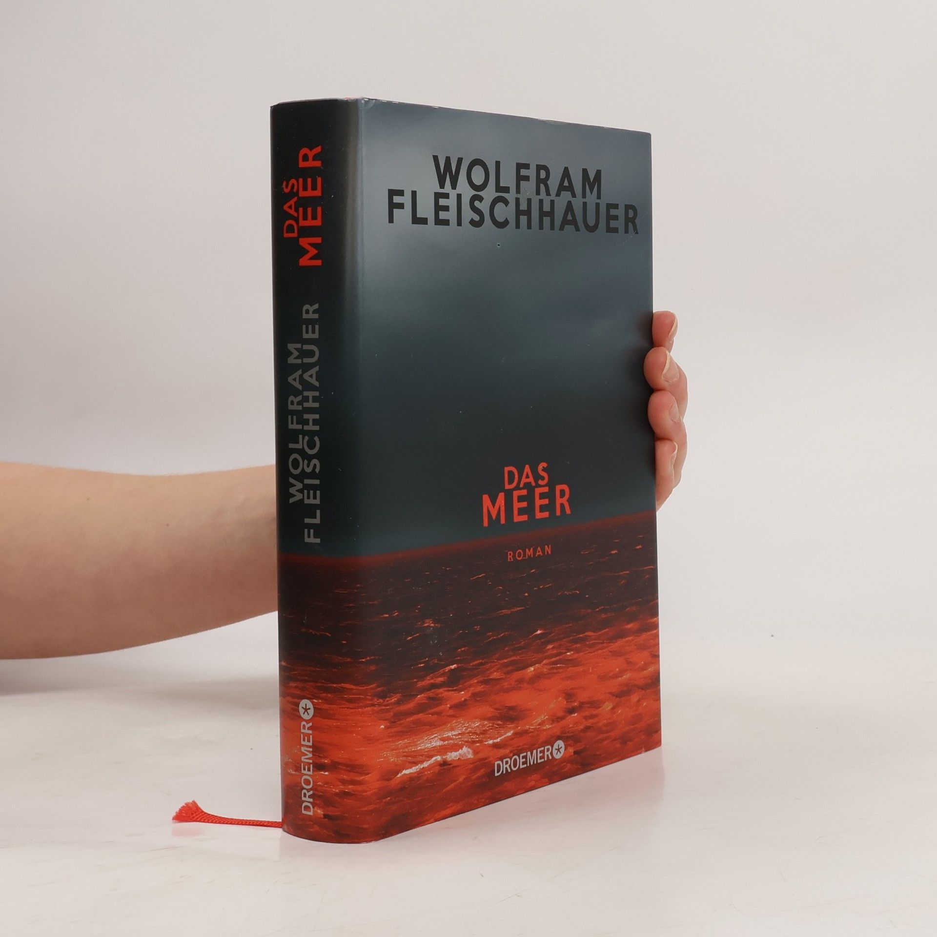 Wolfram Fleischhauer Das Meer