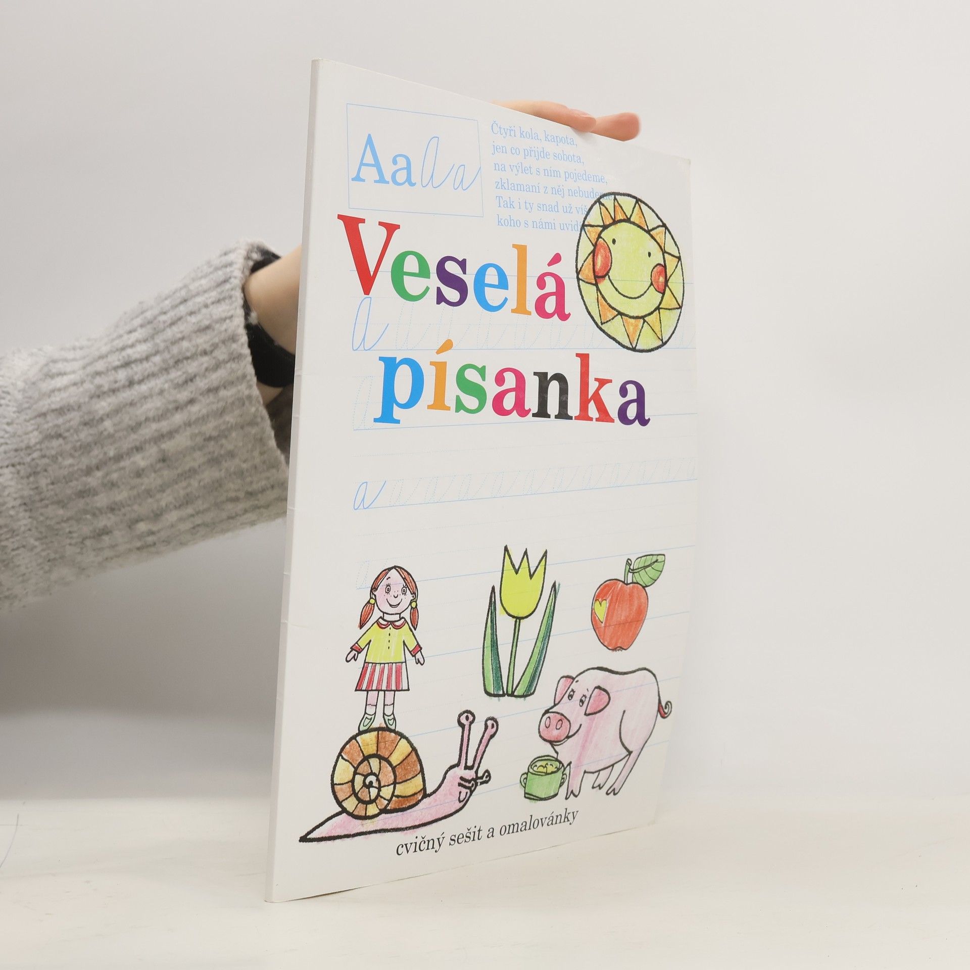 Autorenkollektiv Malý česko-anglický anglicko-český slovník