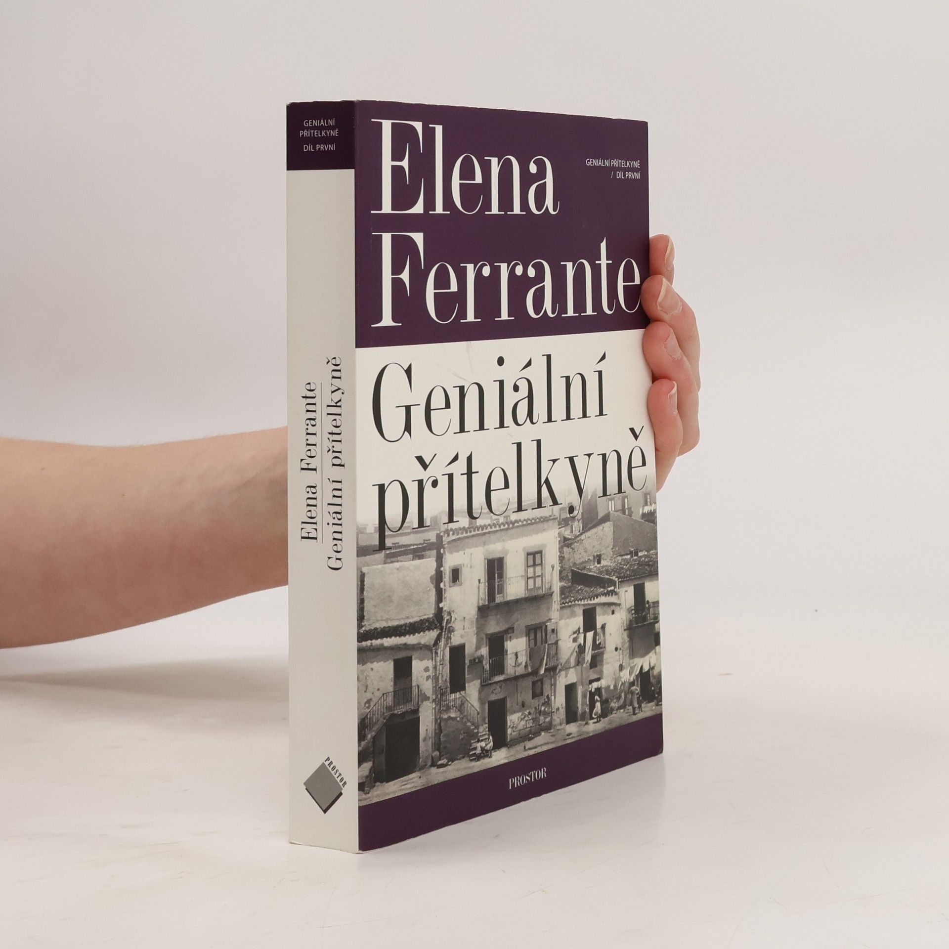 Elena Ferrante Geniální přítelkyně 1. Dětství a dospívání