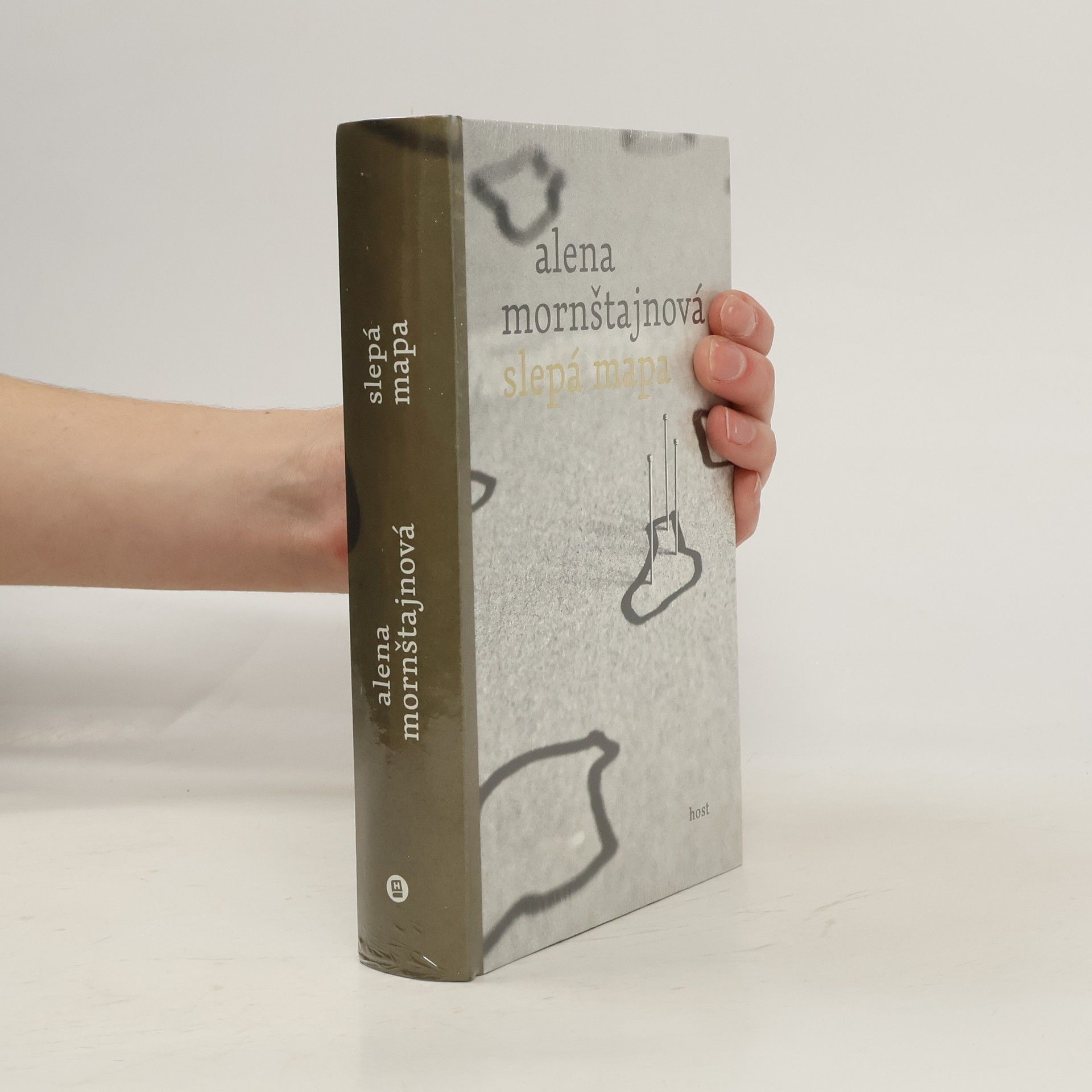 Alena Mornštajnová Slepá mapa