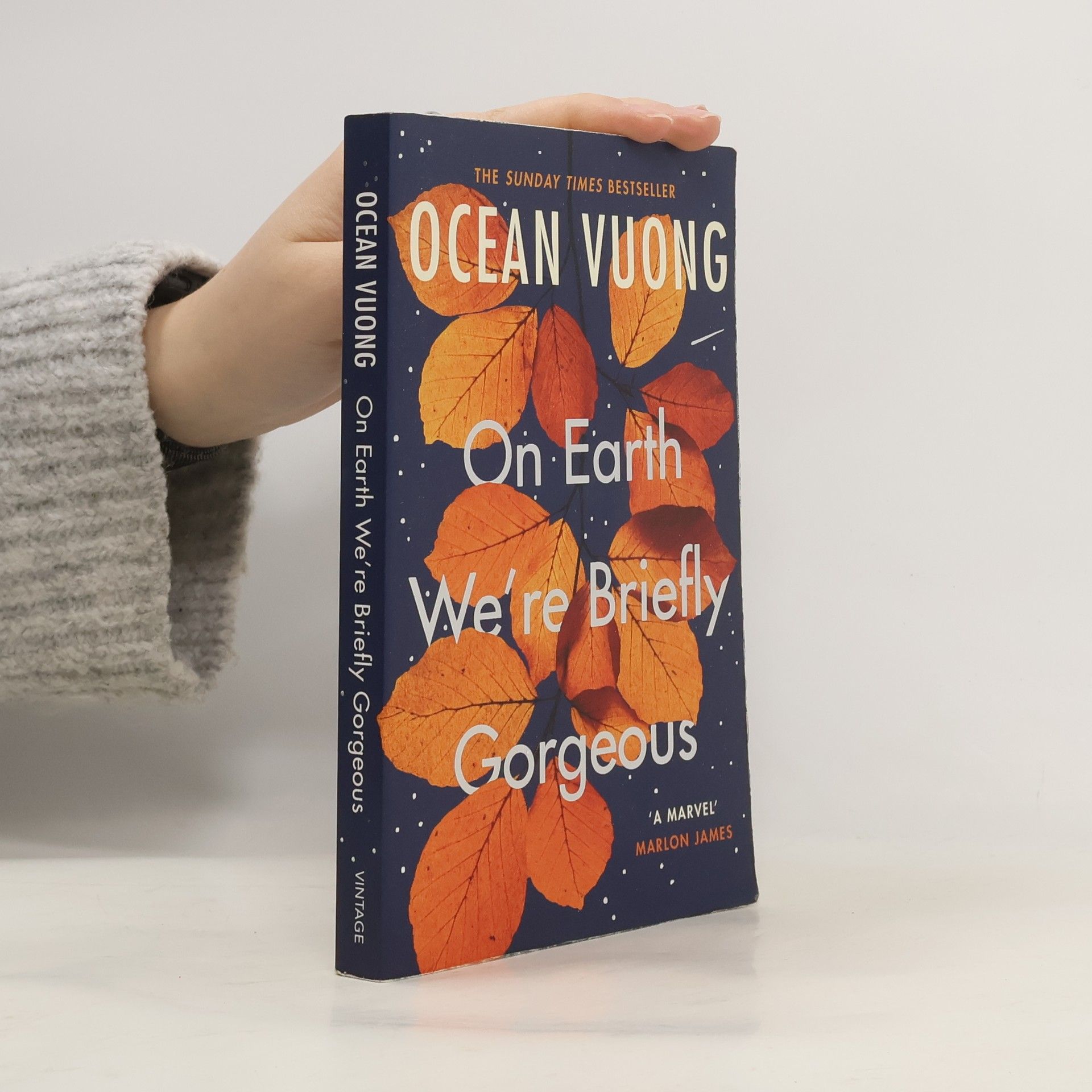 Ocean Vuong On Earth We're Briefly Gorgeous
