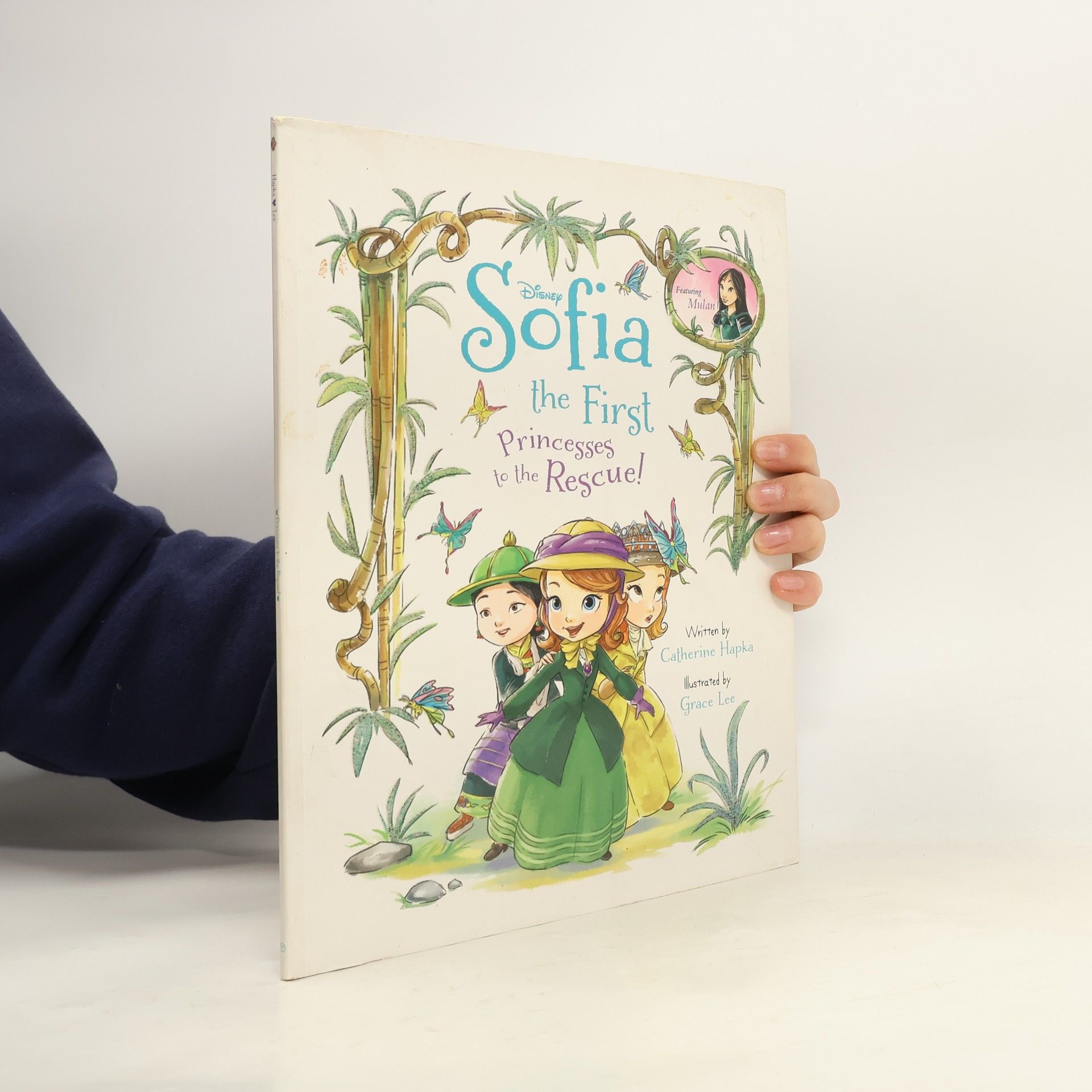 Cathy Hapka Disney Sofia the First Princesses to the Rescue