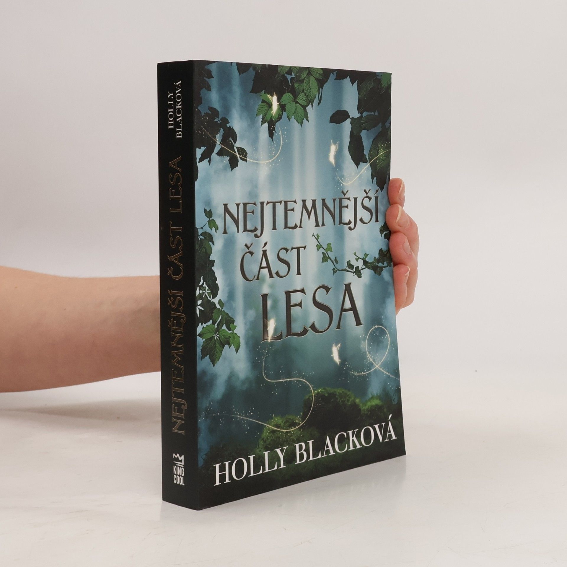 Holly Black Nejtemnější část lesa