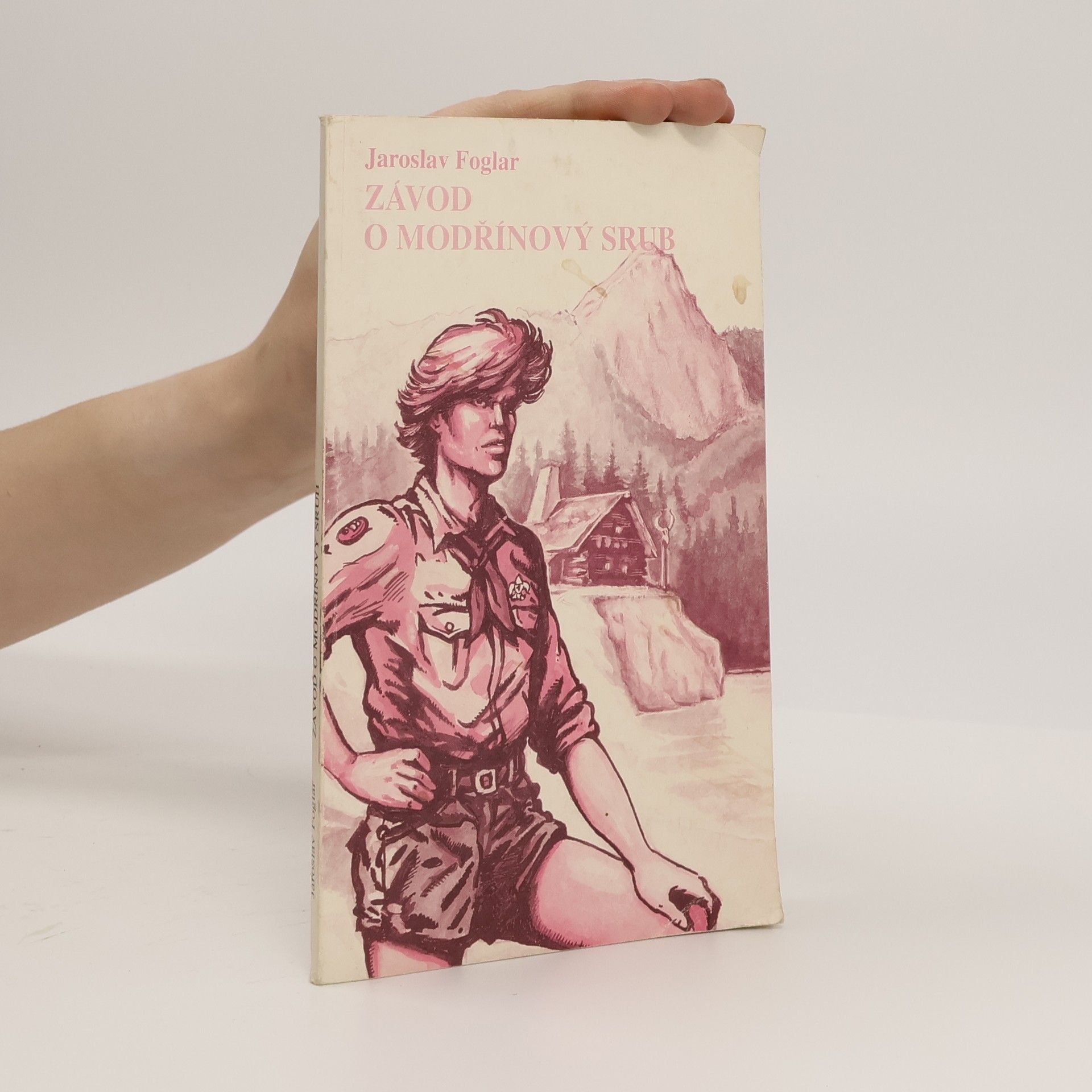 Michal Kocián Závod o modřínový srub